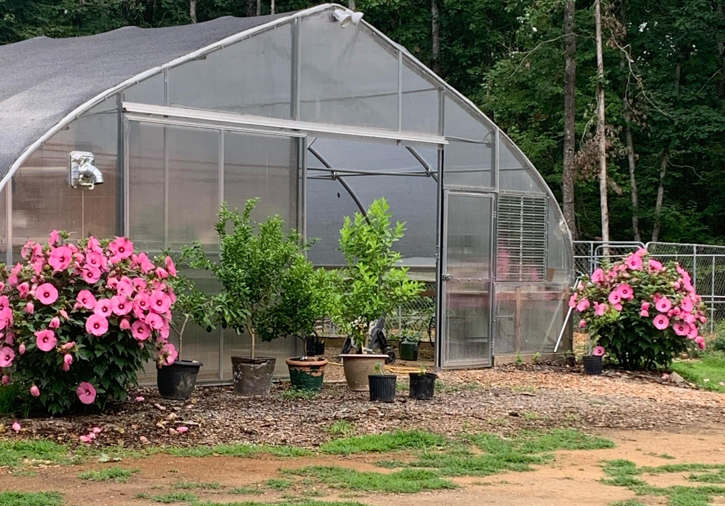 Tracy City, Tennessee, 37387, United States, 3 Bedrooms Bedrooms, ,Residential,For Sale,1979741