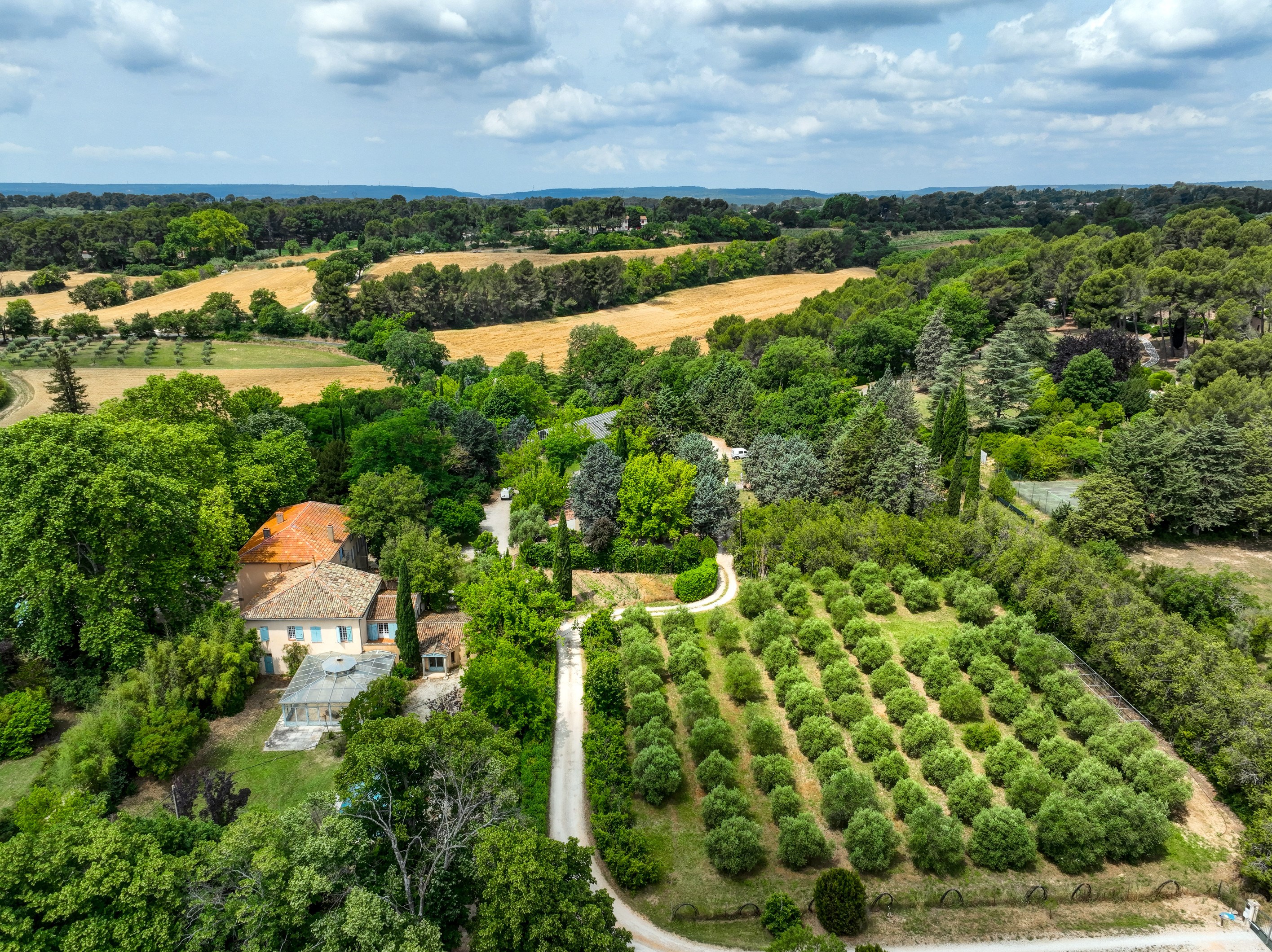  DOMAIN WITH 4 HOUSES AND A BASTIDE XVIII - 物件實景