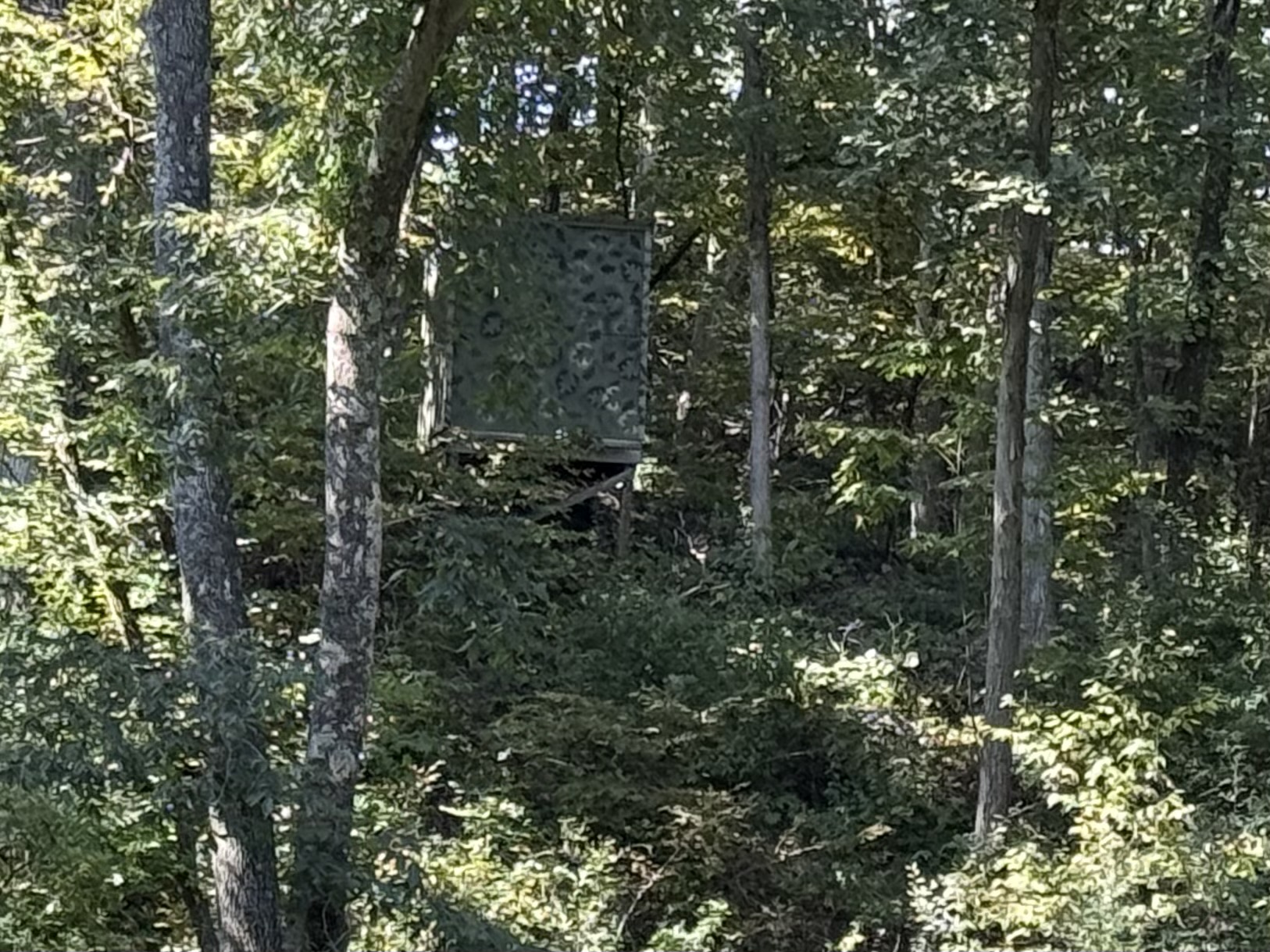 Kirksville, Missouri, 63501, United States, 4 Bedrooms Bedrooms, ,2 BathroomsBathrooms,Residential,For Sale,1976036