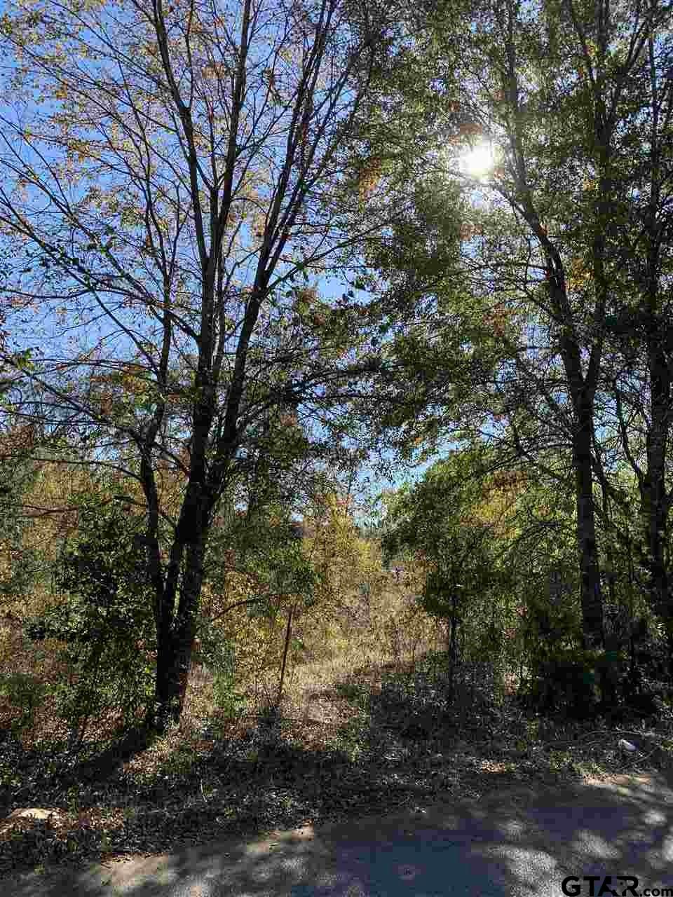 TBD CR 472 & I20, Lindale, Texas, 75771, United States, ,Land,For Sale,TBD CR 472 & I20,1673371