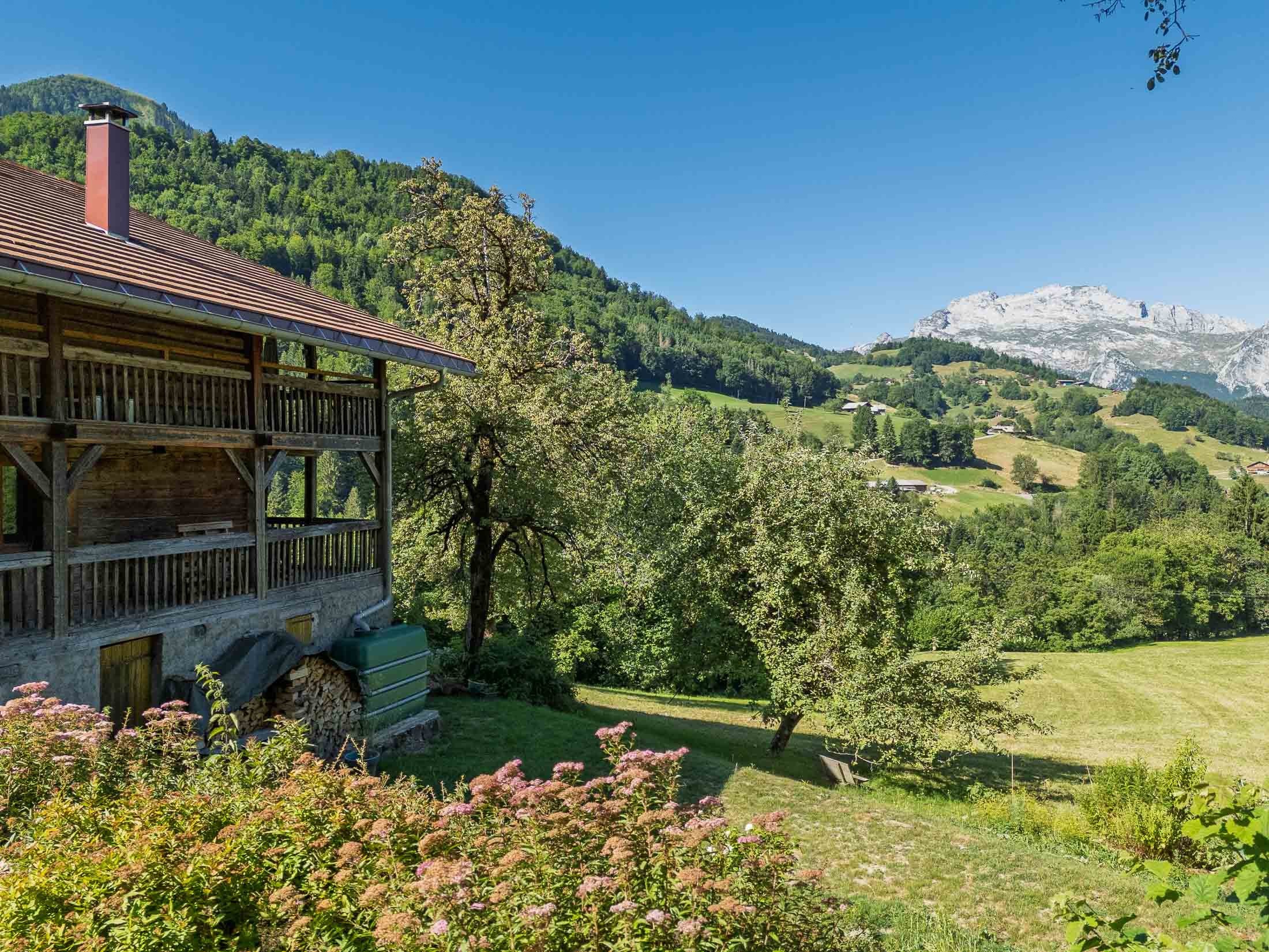  Exceptional chalet in the heart of the mountains - 物件實景