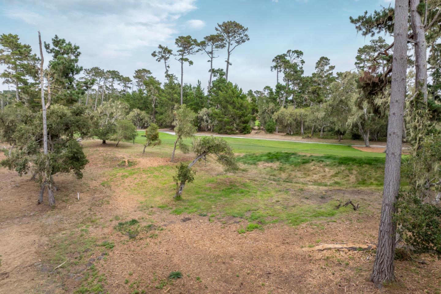 Pebble Beach, California, 93953, United States, ,Land,For Sale,1903523