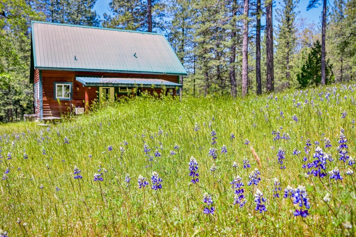 Mountain Ranch, California, 95246, United States, 1 Bedroom Bedrooms, ,1 BathroomBathrooms,Residential,For Sale,1921601