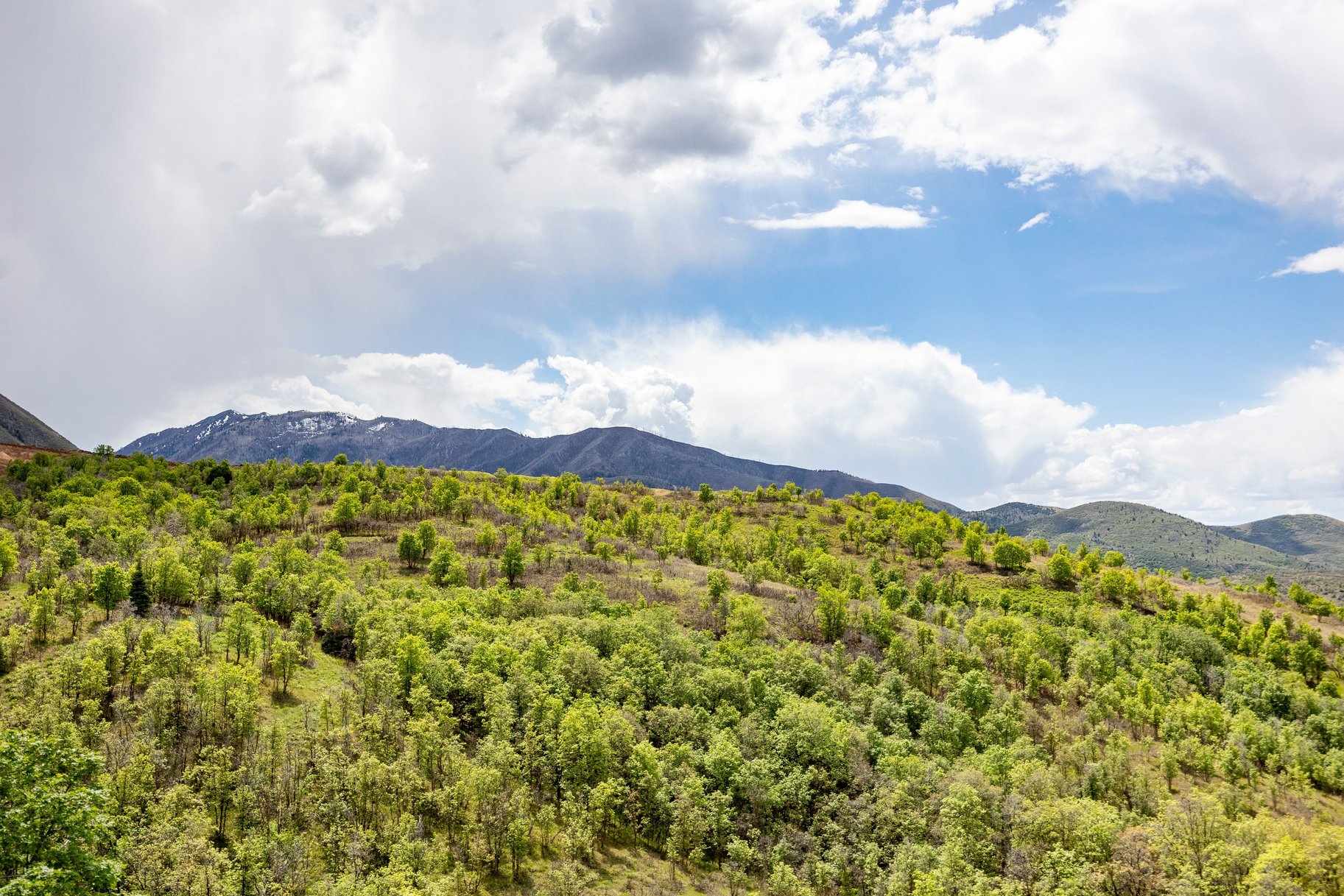  Mountain Contemporary Masterpiece with Panoramic Summit Creek Views - 物件實景