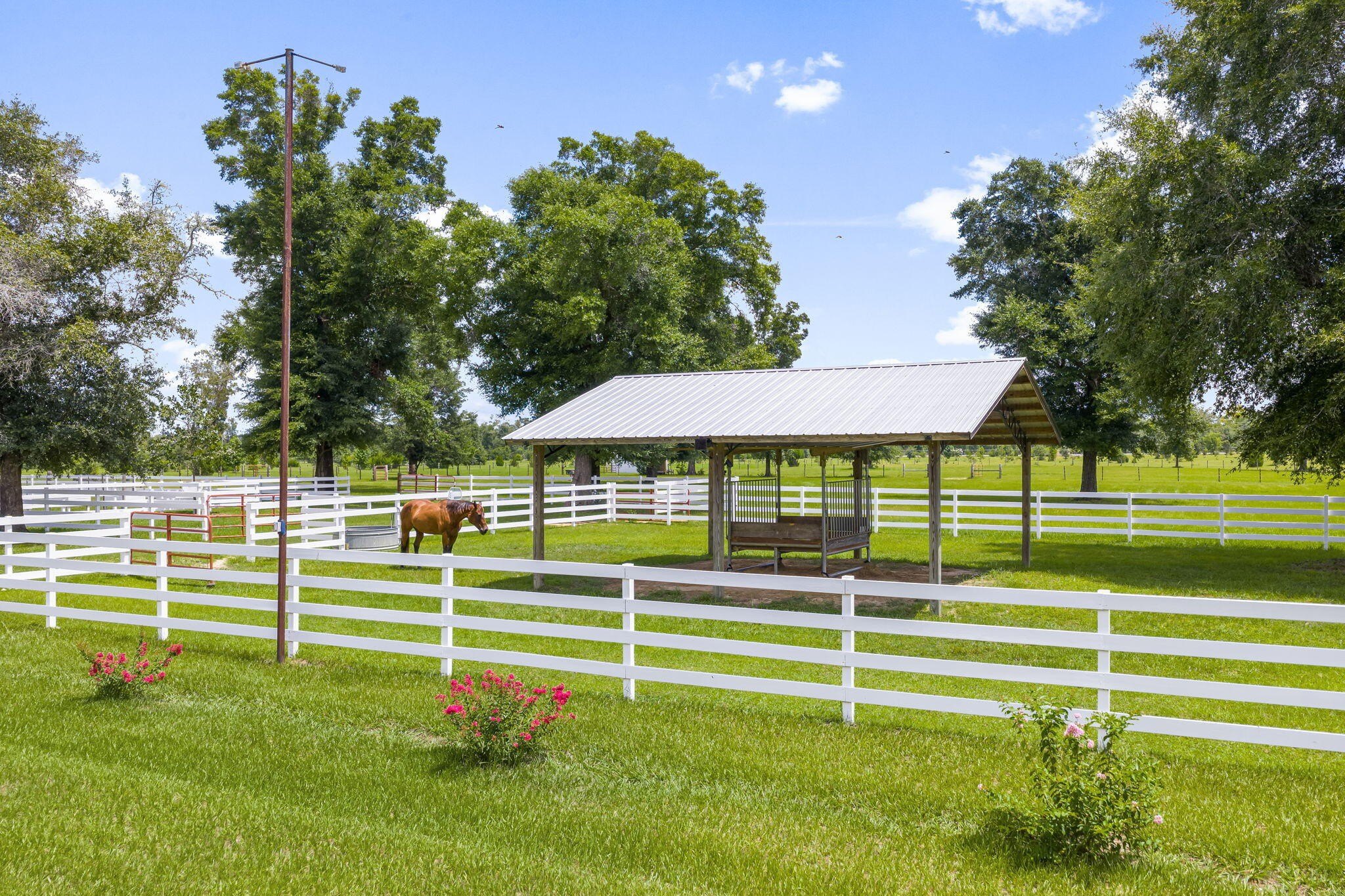 Youngstown, Florida, 32466, United States, 6 Bedrooms Bedrooms, ,6 BathroomsBathrooms,Residential,For Sale,1981831