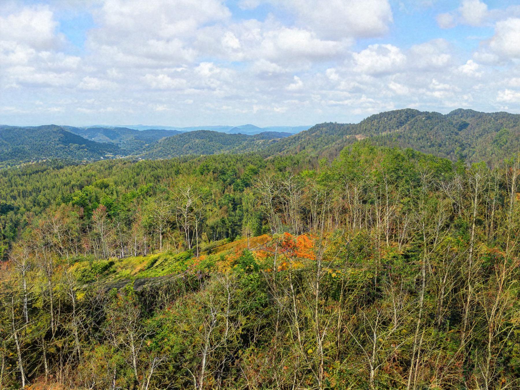 Union Mills, North Carolina, 28167, United States, ,Land,For Sale,1984328