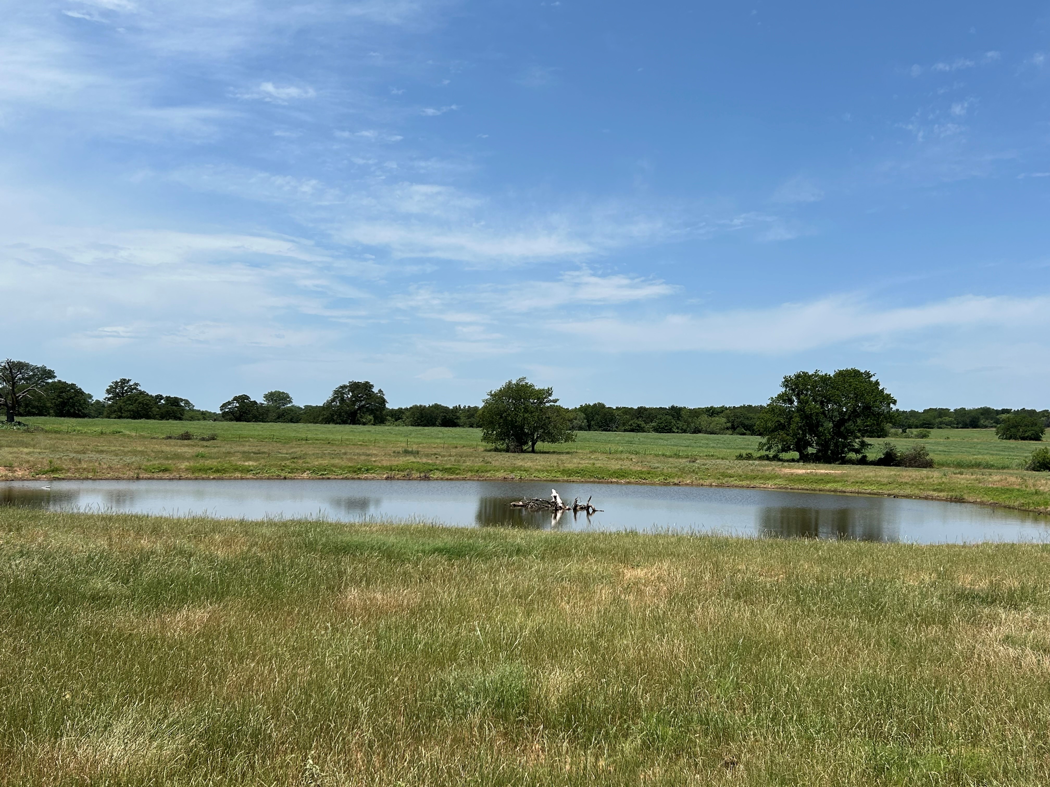 Bridgeport, Texas, 76426, United States, ,Residential,For Sale,1697871