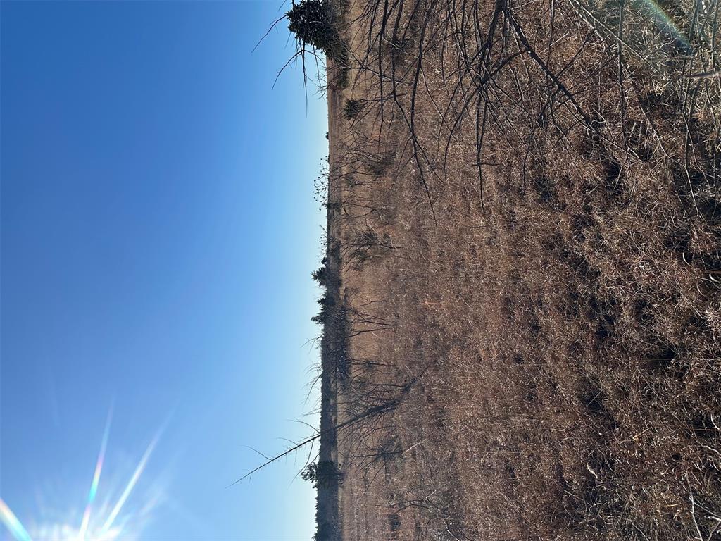 Meridian, Oklahoma, 73058, United States, ,Land,For Sale,2009056