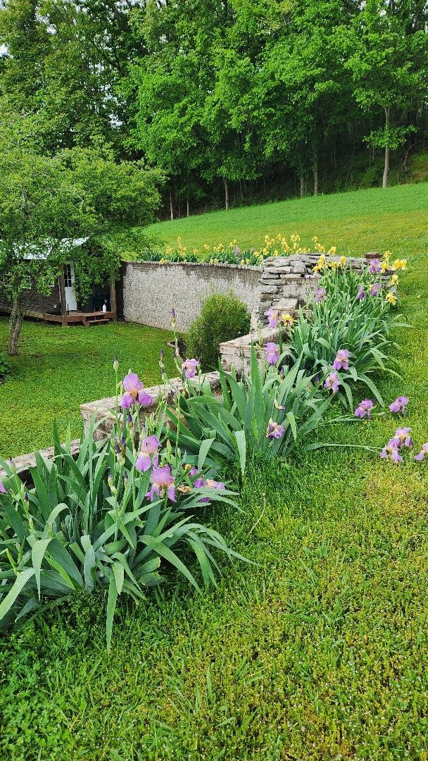 Lewisburg, Tennessee, 37091, United States, 4 Bedrooms Bedrooms, ,3 BathroomsBathrooms,Residential,For Sale,1999662