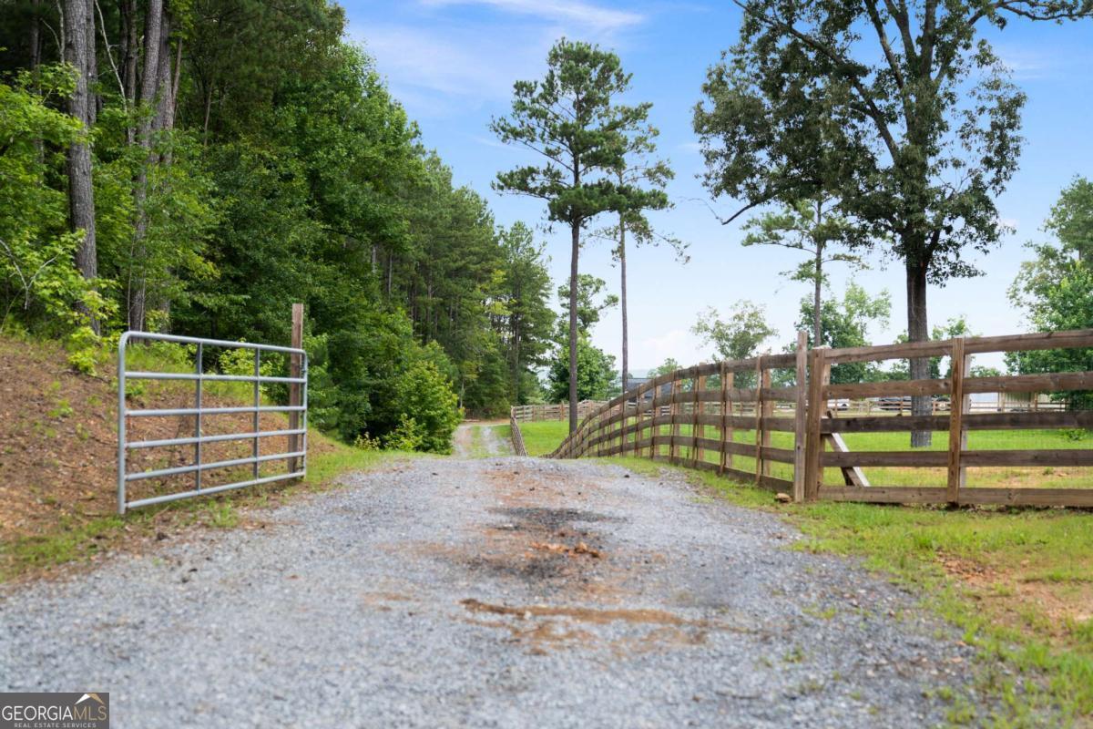 Rome, Georgia, 30165, United States, ,Land,For Sale,1890078