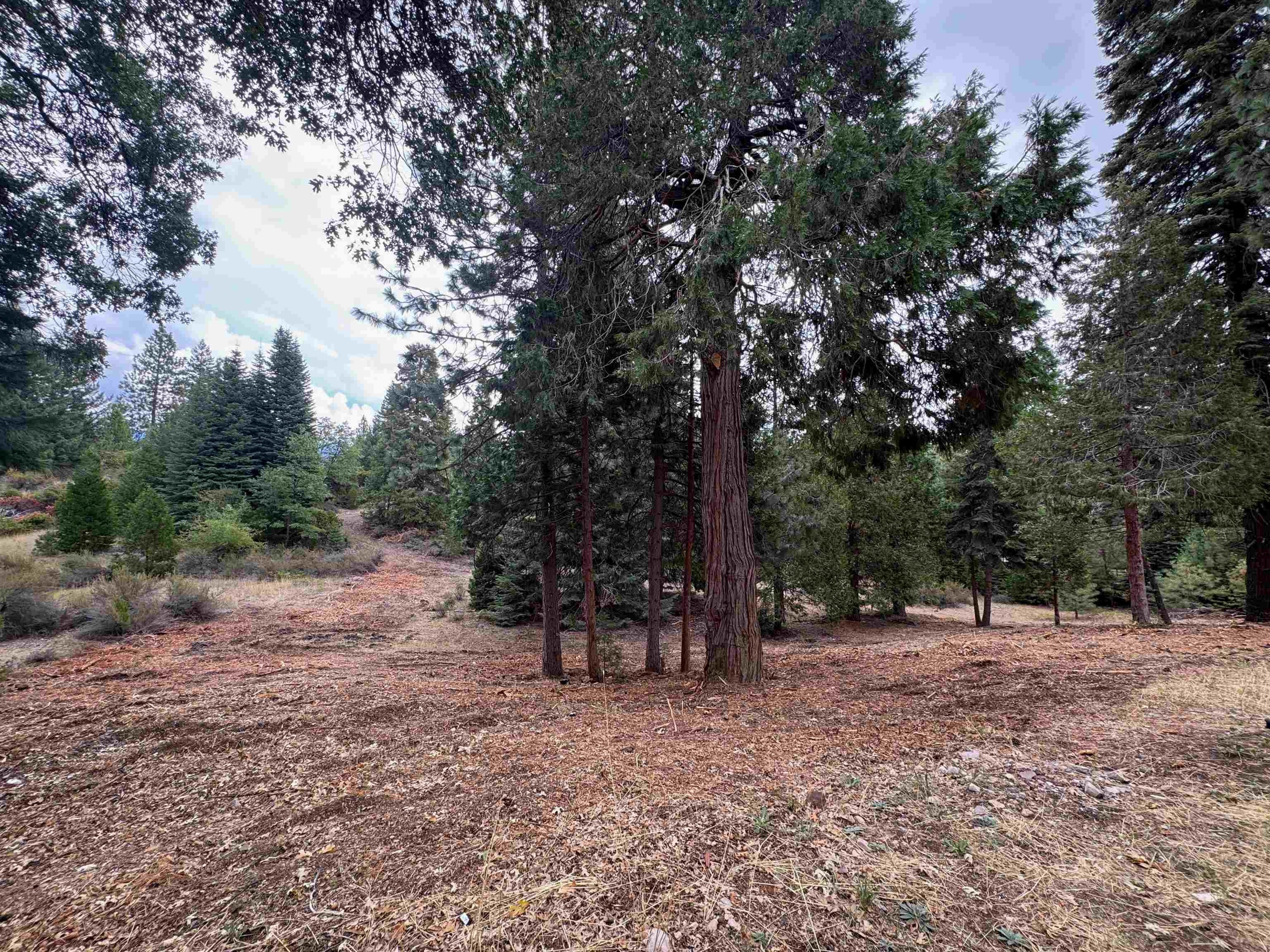 Mt Shasta, California, 96067, United States, 3 Bedrooms Bedrooms, ,2 BathroomsBathrooms,Residential,For Sale,1974393