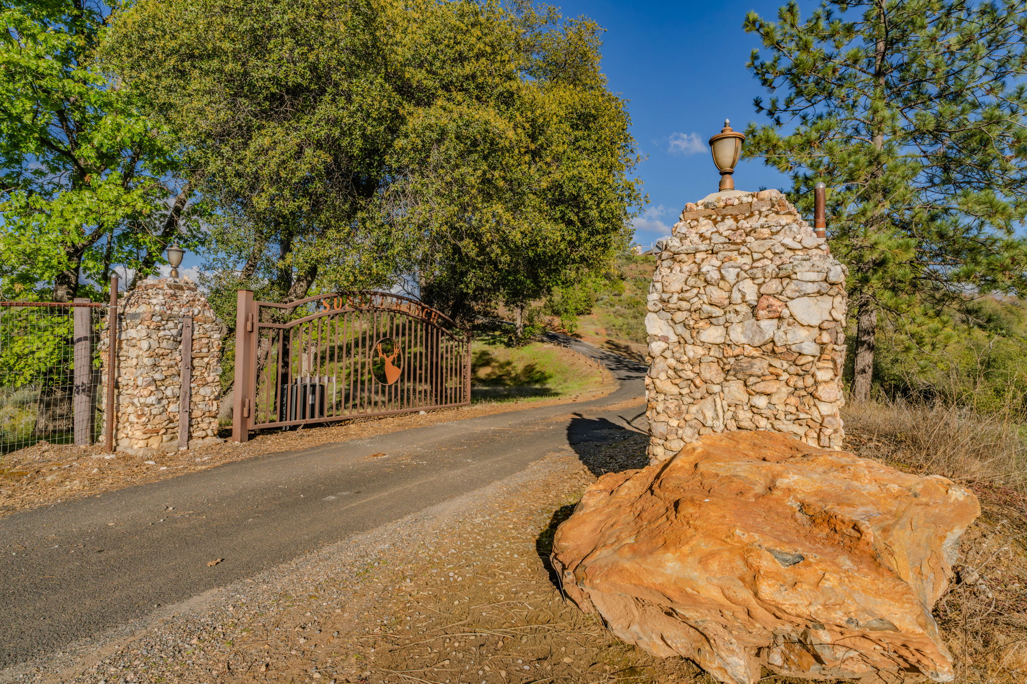  9515 Ham Luddy Road, Mountain Ranch, CA 95246 - 物件實景