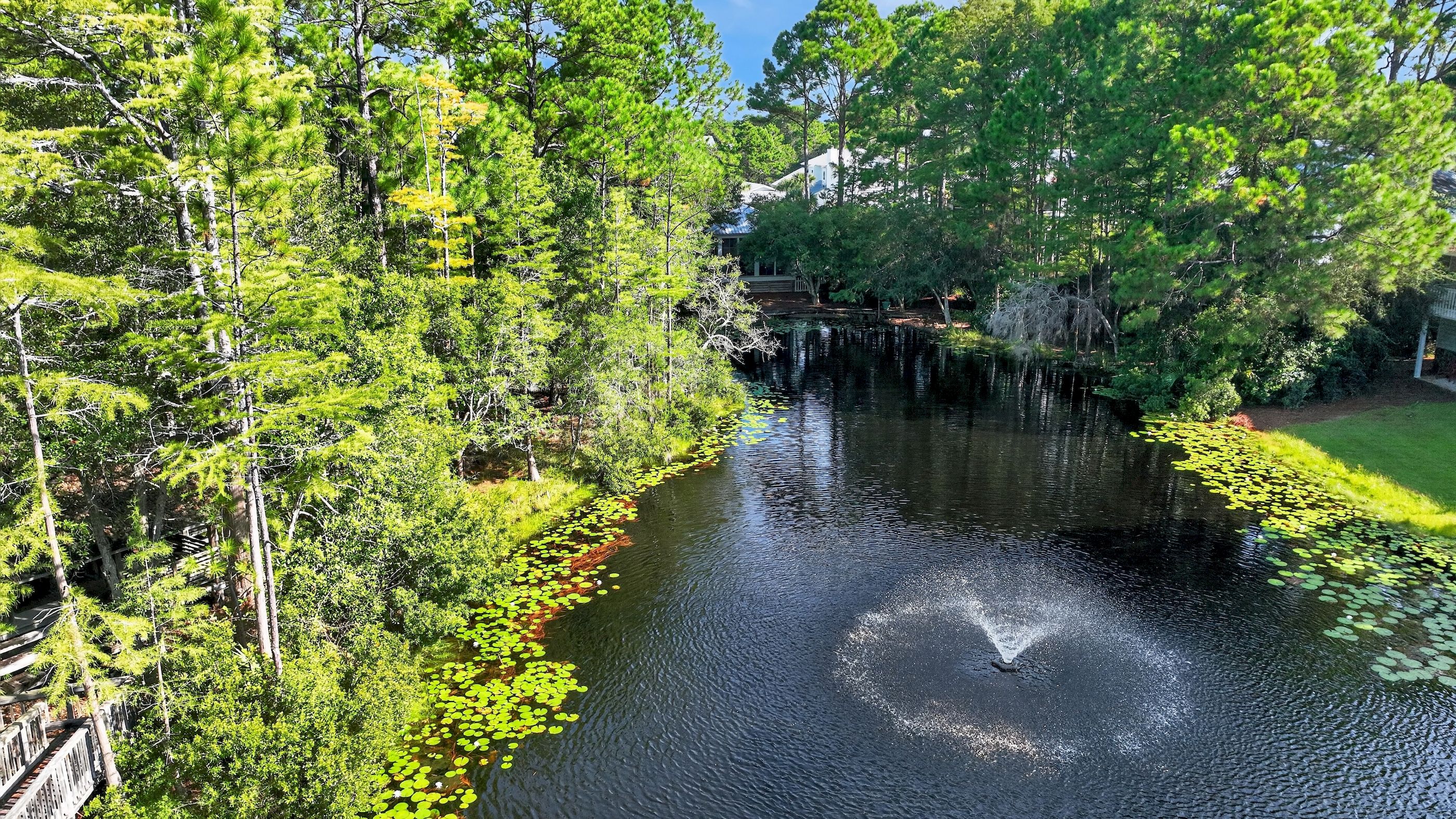  Charming Seagrove Beach Cottage Surrounded by Nature - 物件實景