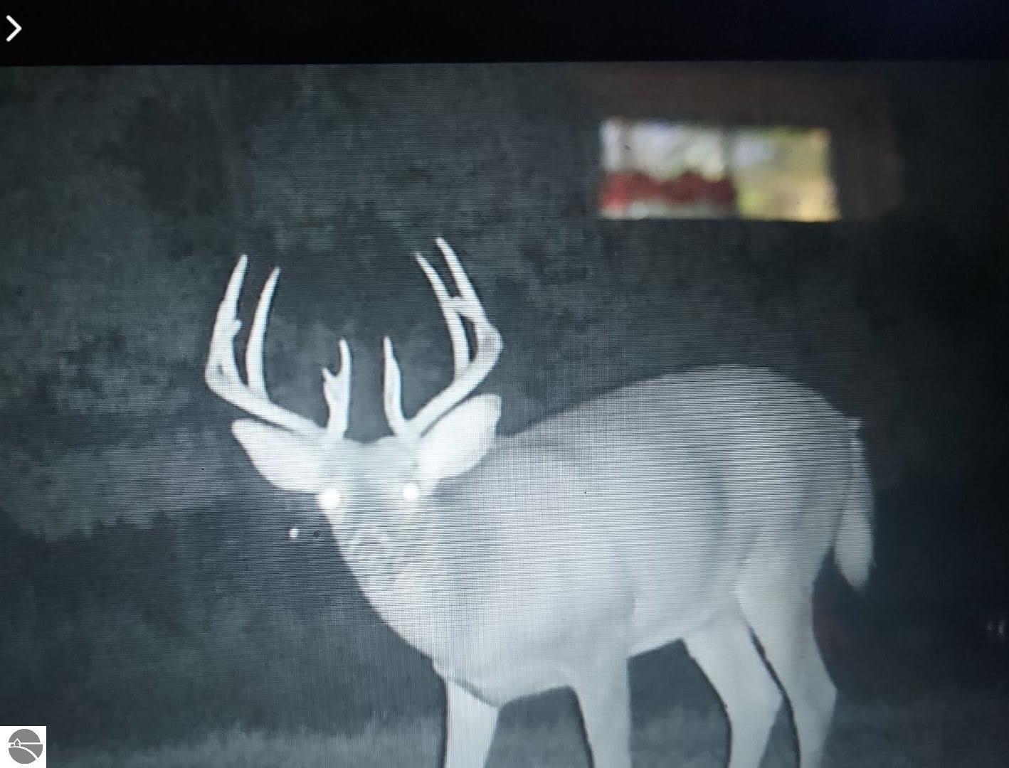 Vestaburg, Michigan, 48891, United States, 6 Bedrooms Bedrooms, ,3 BathroomsBathrooms,Residential,For Sale,1976935