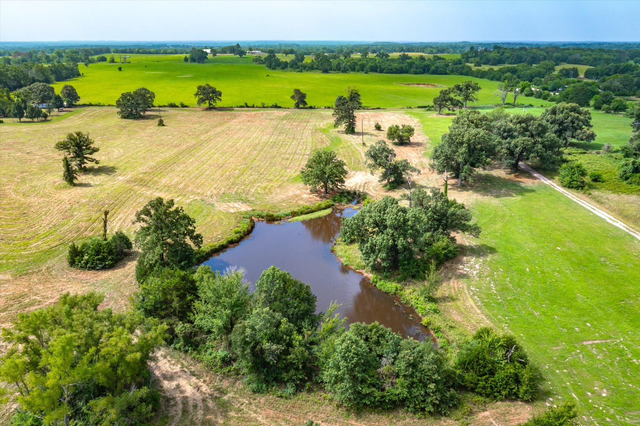 Grand Saline, Texas, 75140, United States, ,Residential,For Sale,1936963