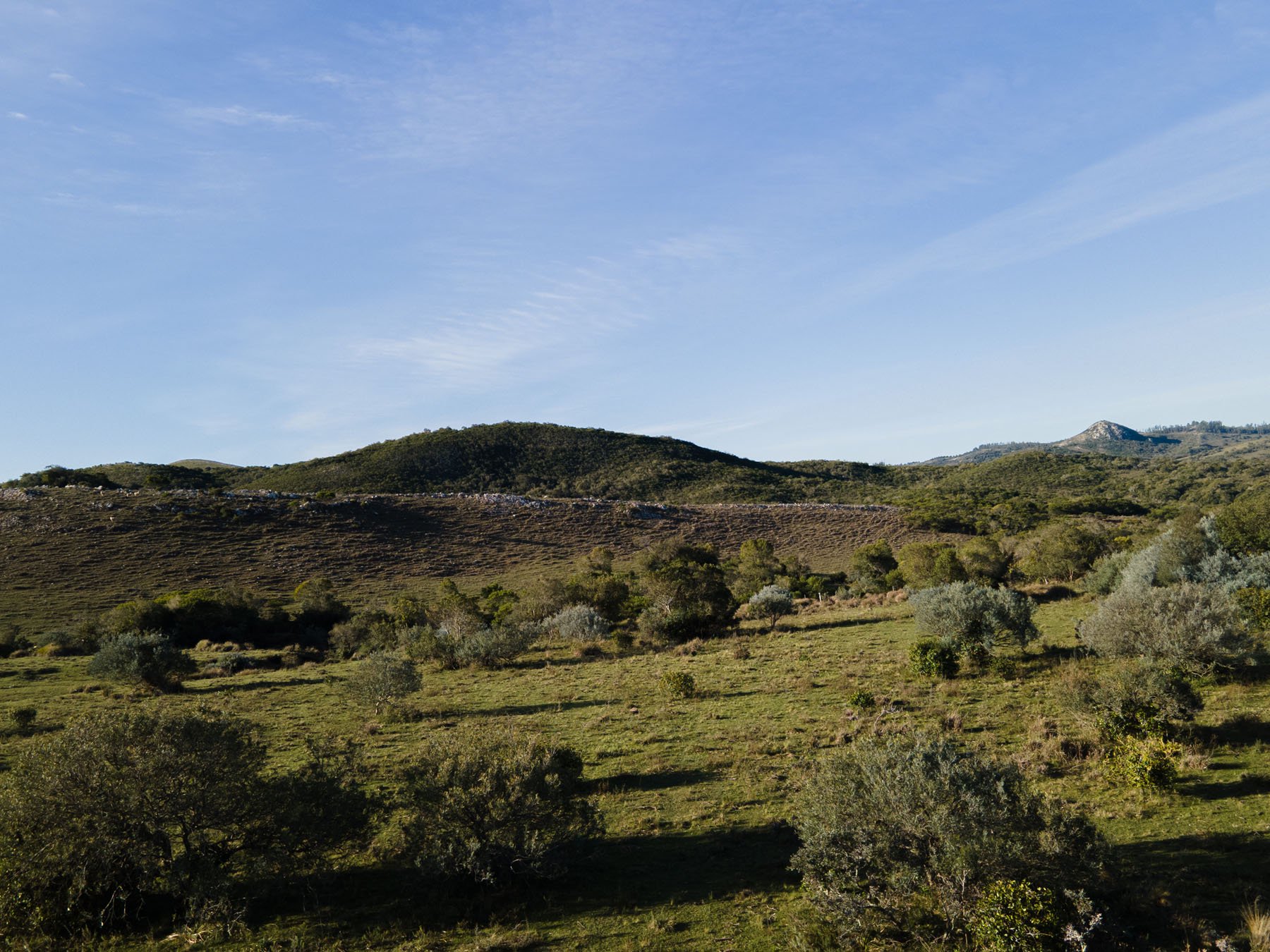  63.25 acres farm in Pueblo Edén. - 物件實景