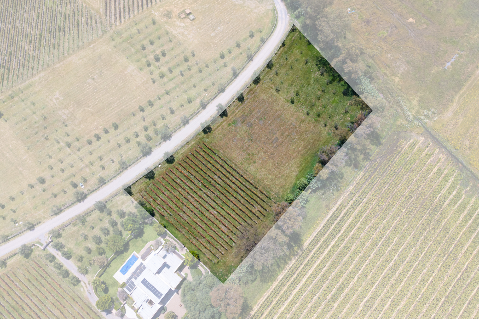  San Francisco Vineyards Lot 1 - 物件實景