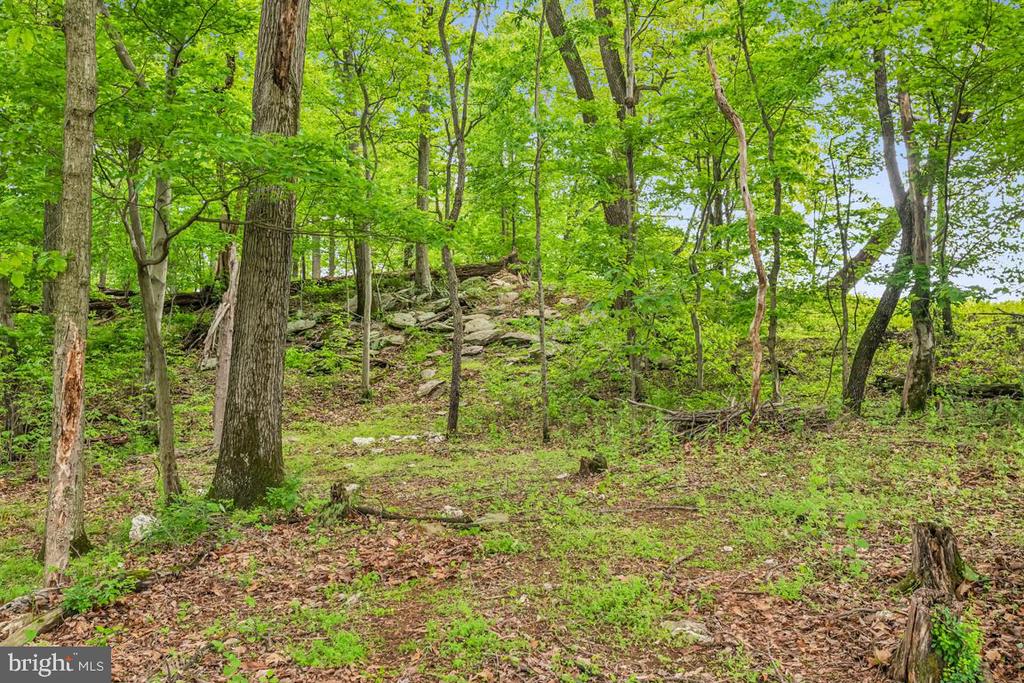 Hillsboro, Virginia, 20132, United States, 2 Bedrooms Bedrooms, ,2 BathroomsBathrooms,Residential,For Sale,1798286