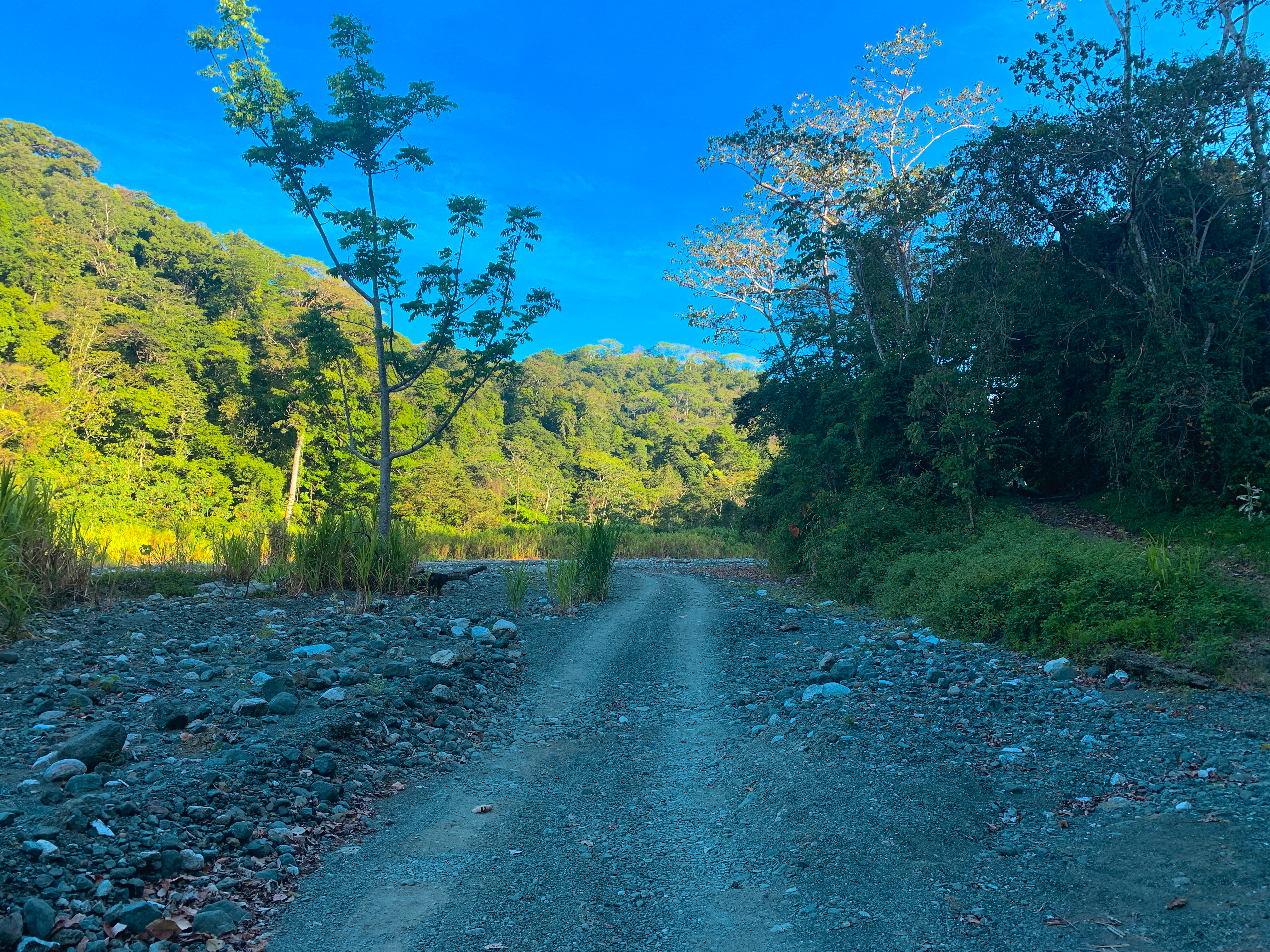 Osa Peninsula, Carate, Cabo Matapalo, Puntarenas, CR, ,Land,For Sale,Osa Peninsula, Carate,1585857
