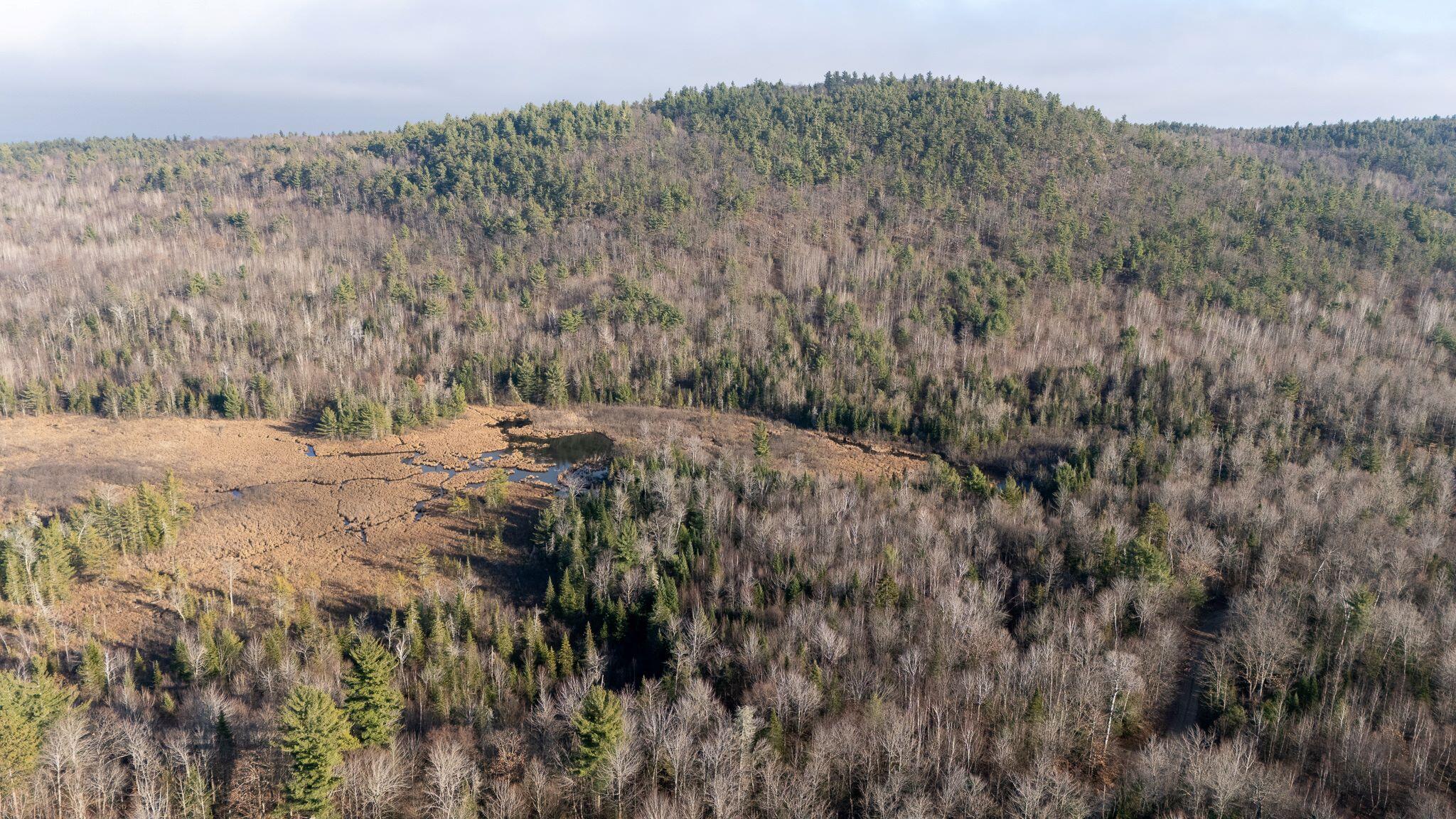 358 Buck Hill Road, Black Brook, New York, 12912, United States, ,Land,For Sale,358 Buck Hill Road,1668250