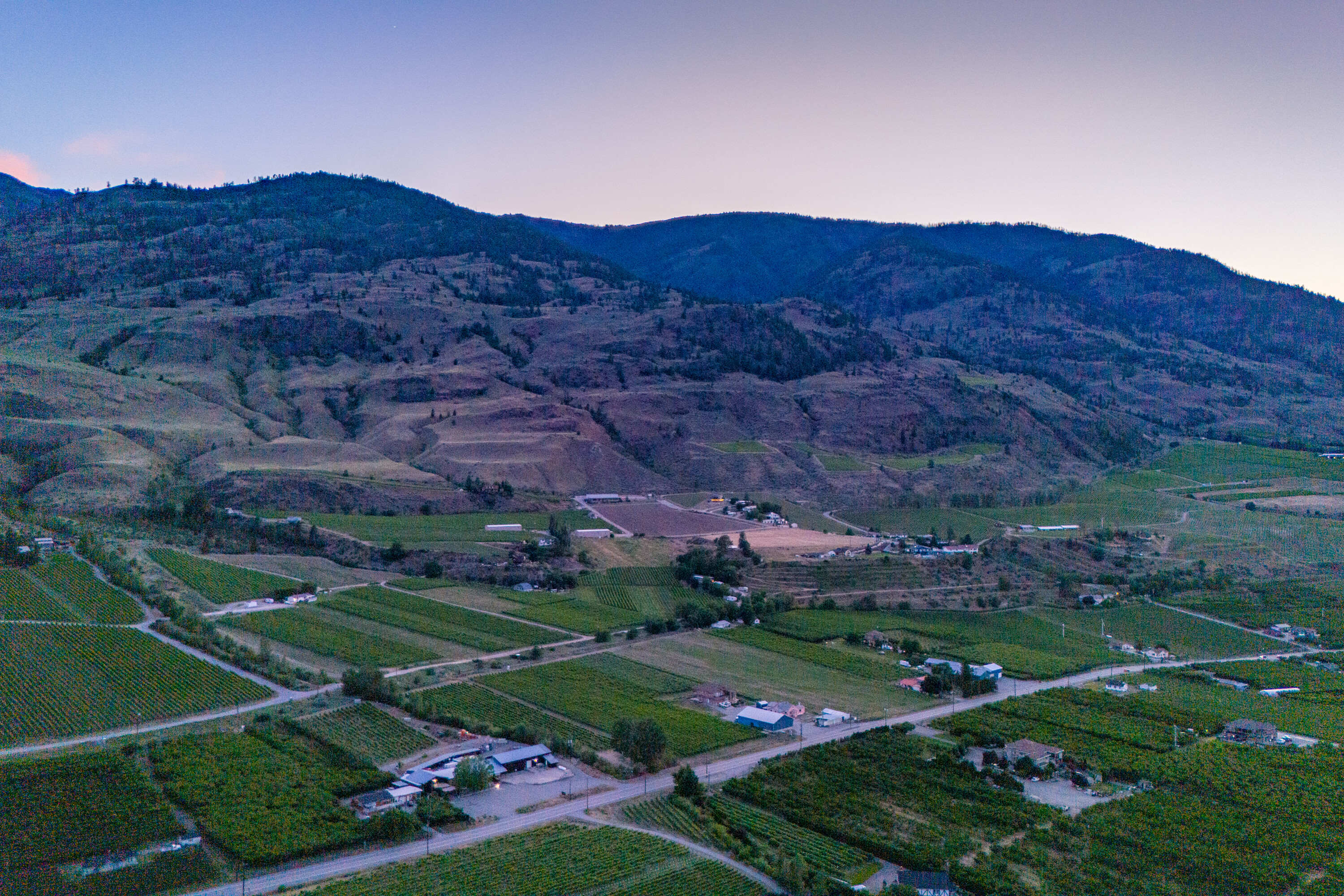  Vineyard Estate Receivership - 物件實景