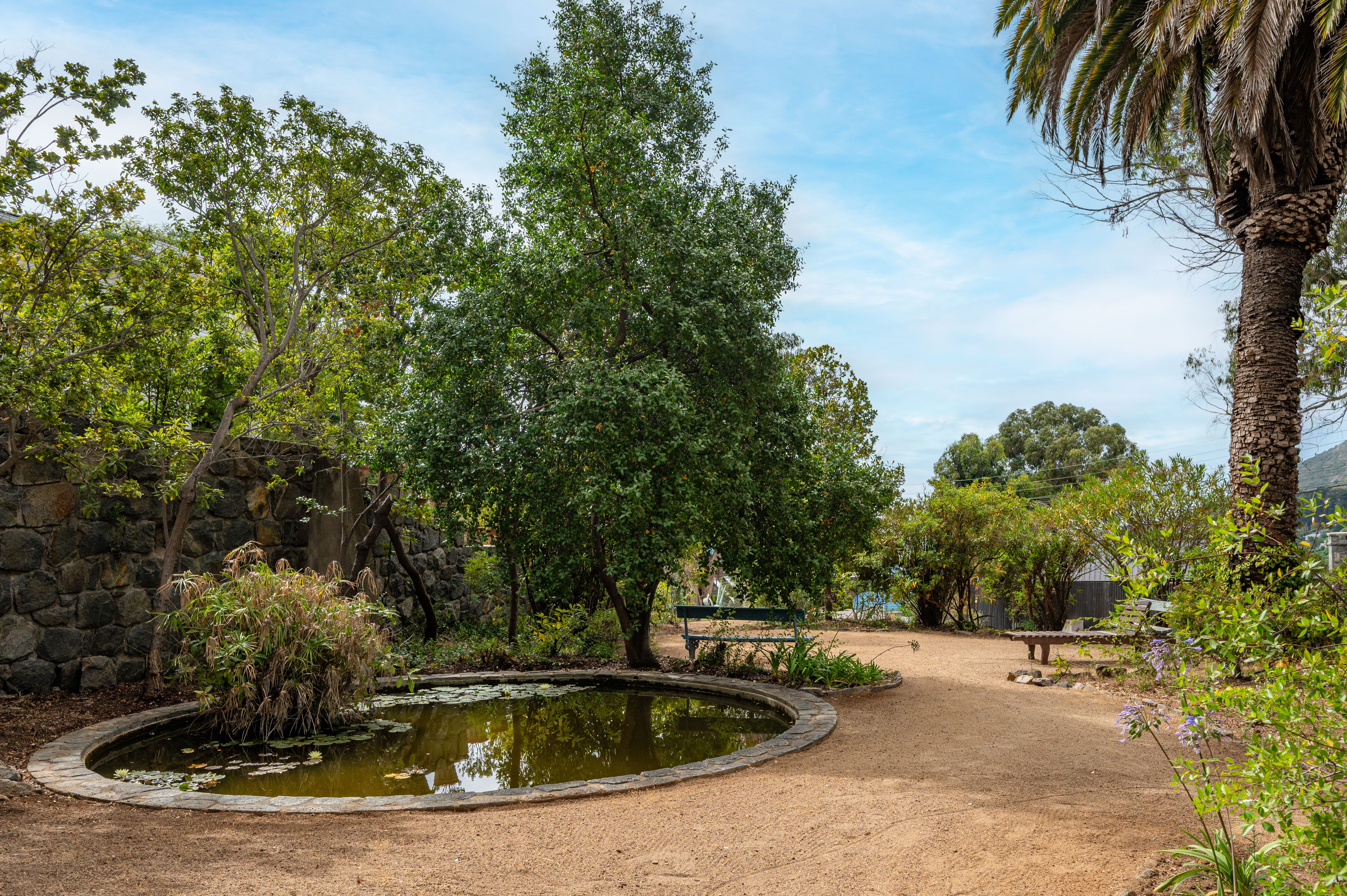  Opportunity to develop an incredible home just steps from Zapallar Beach - 物件實景