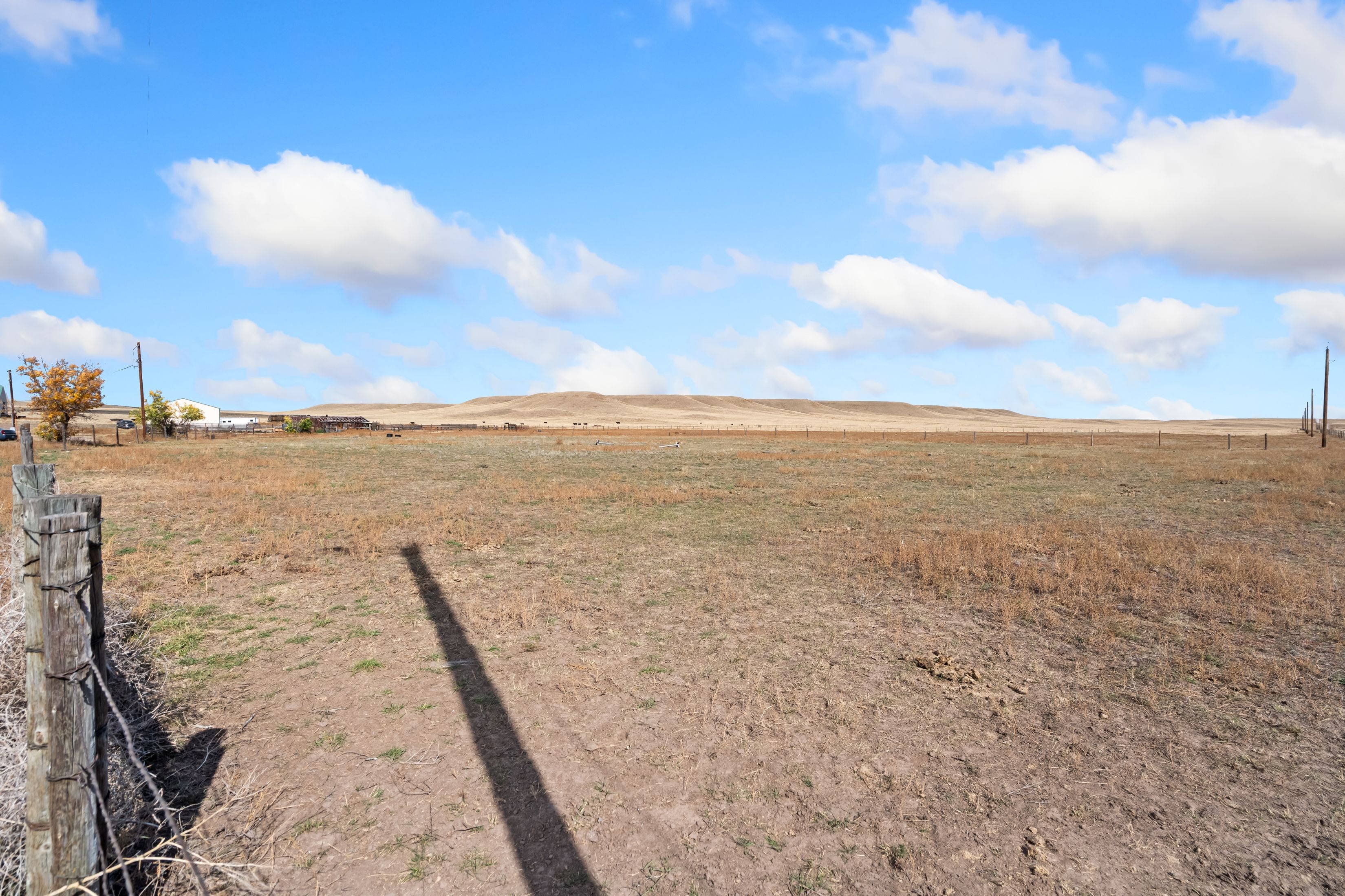  Exceptional Equestrian Property on 20 Acres - 物件實景