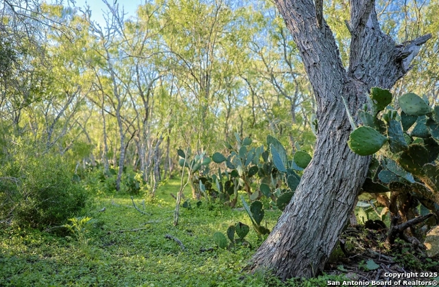 Beeville, Texas, 78102, United States, ,Land,For Sale,1988333