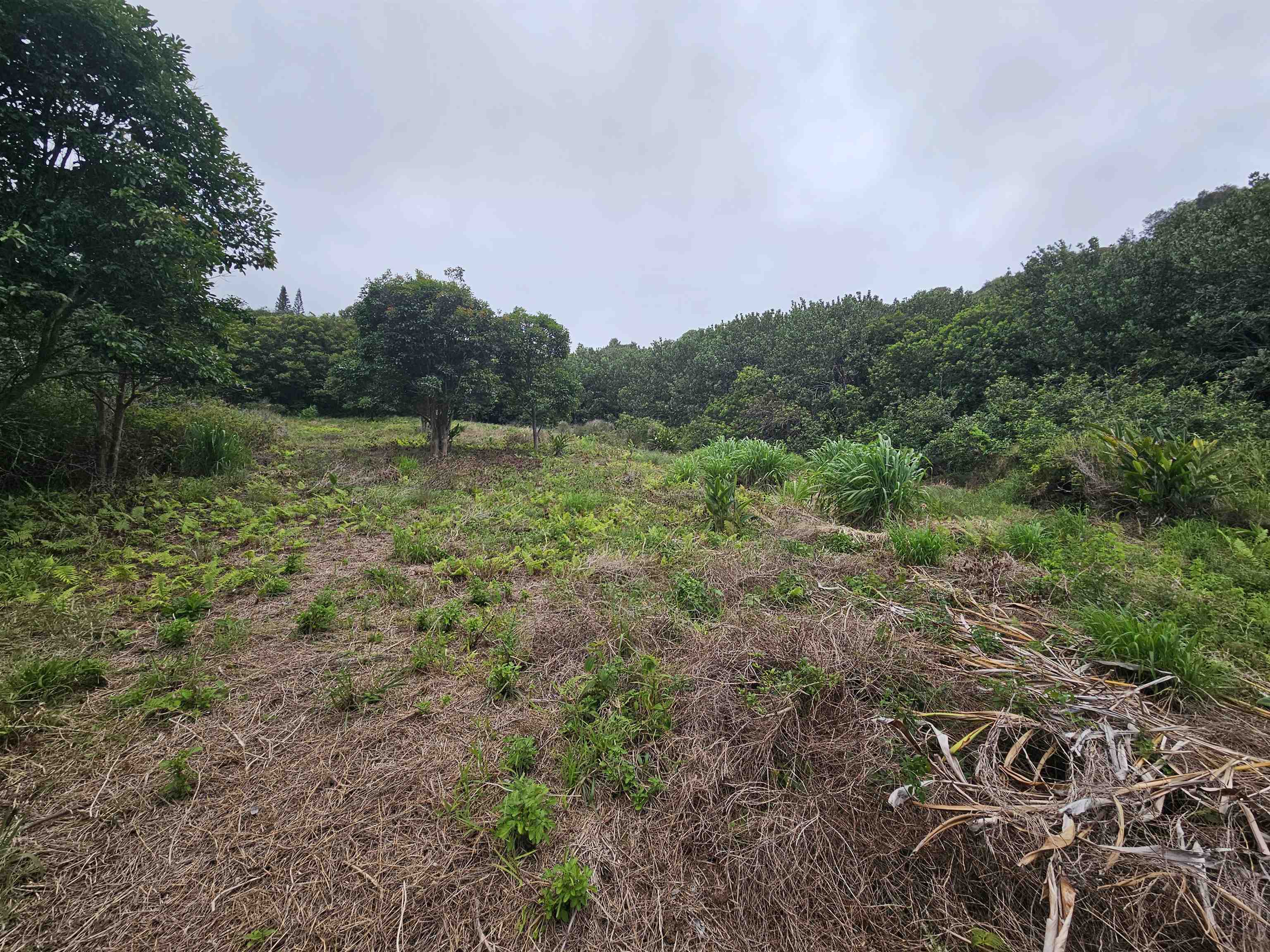 63 Lahaole Pl, Wailuku, Hawaii, 96793, United States, ,Land,For Sale,63 Lahaole Pl,1676772