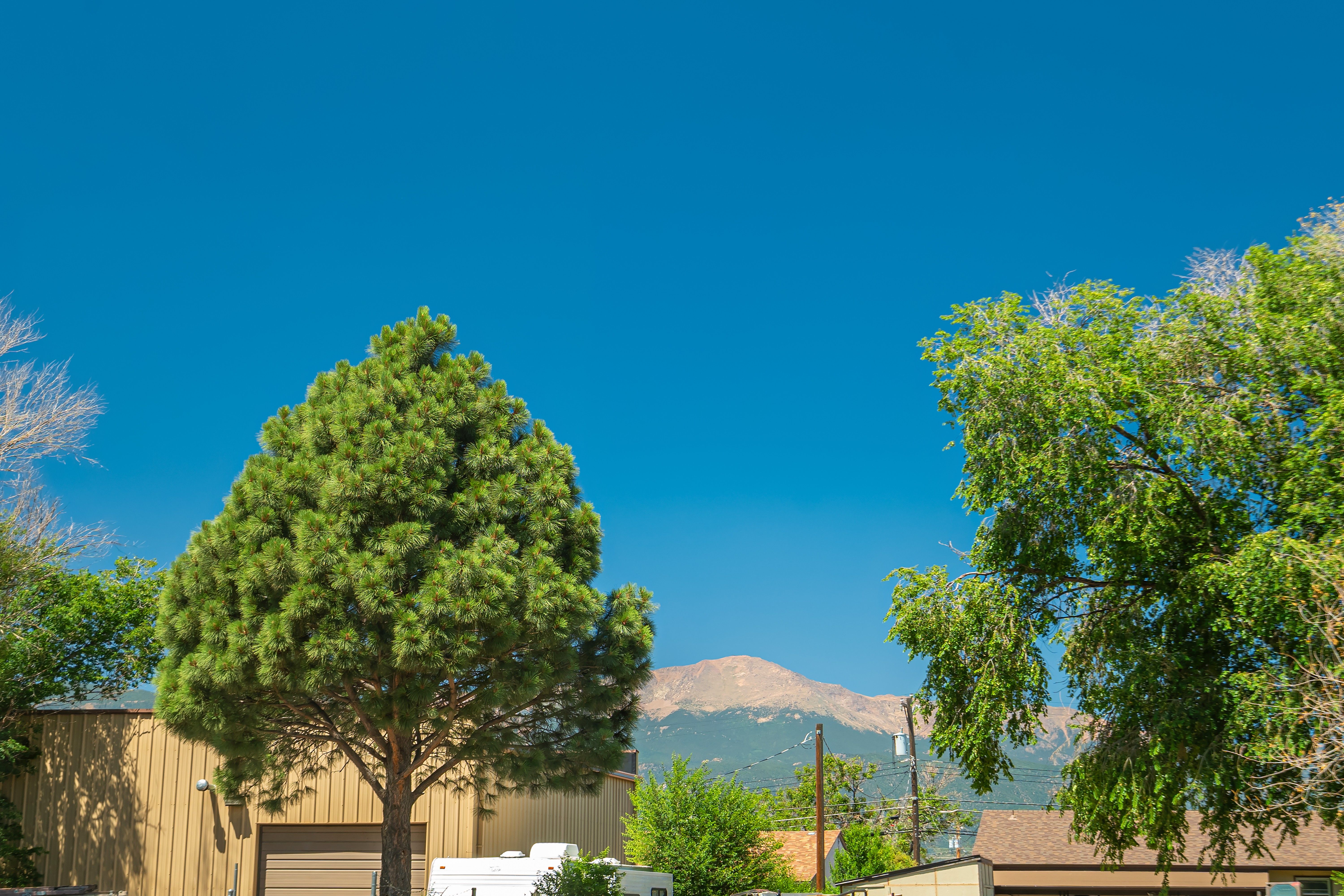  3025 Grandview Street, Colorado Springs, CO, 80907 - 物件實景