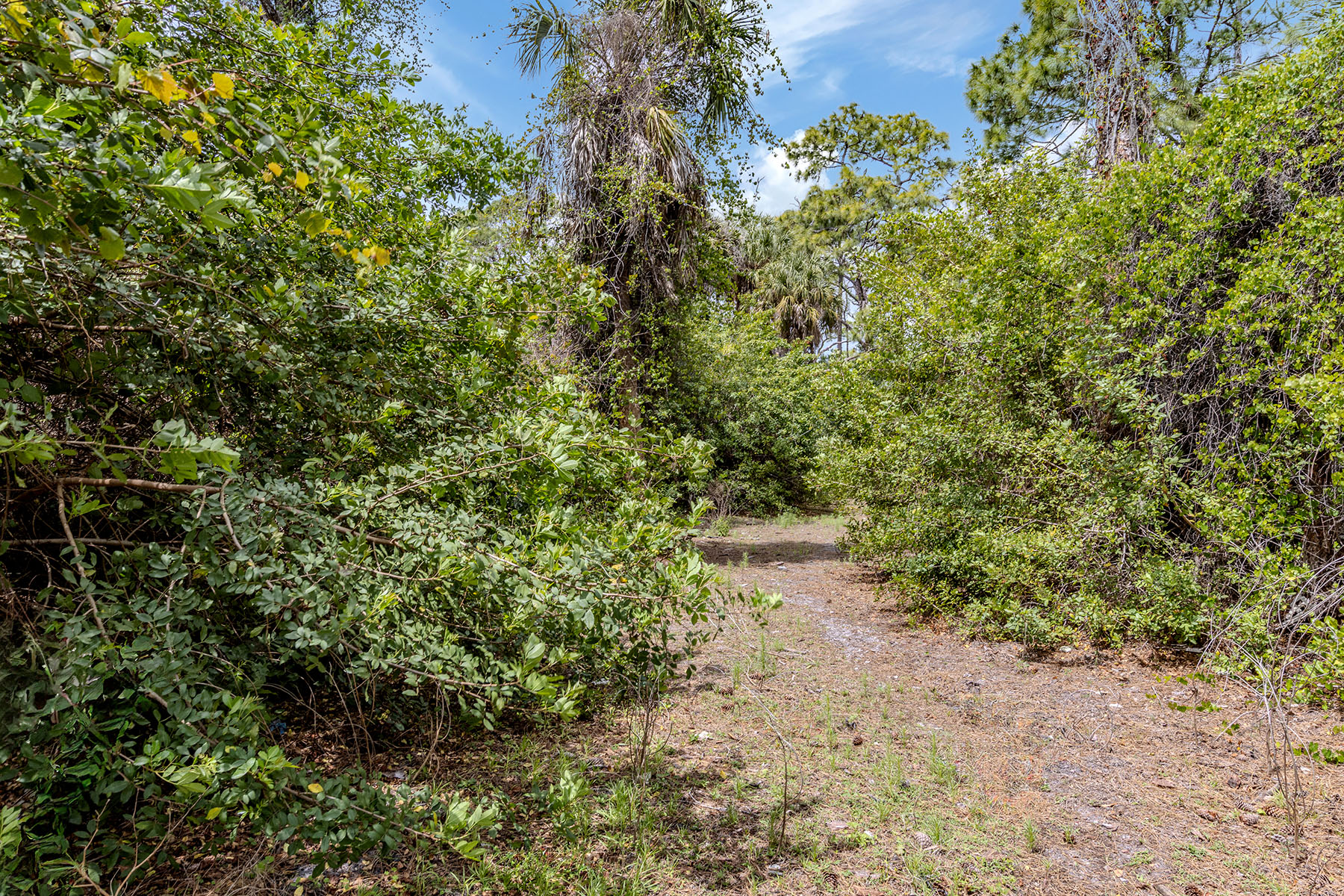  VENICE FARMS - 物件實景