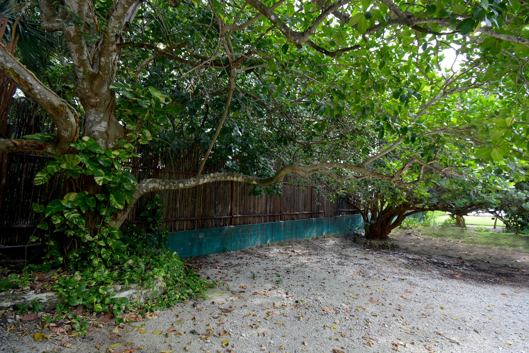  BEACHFRONT RESIDENTIAL LOT IN PLAYACAR GATED COMMUNITY - 物件實景