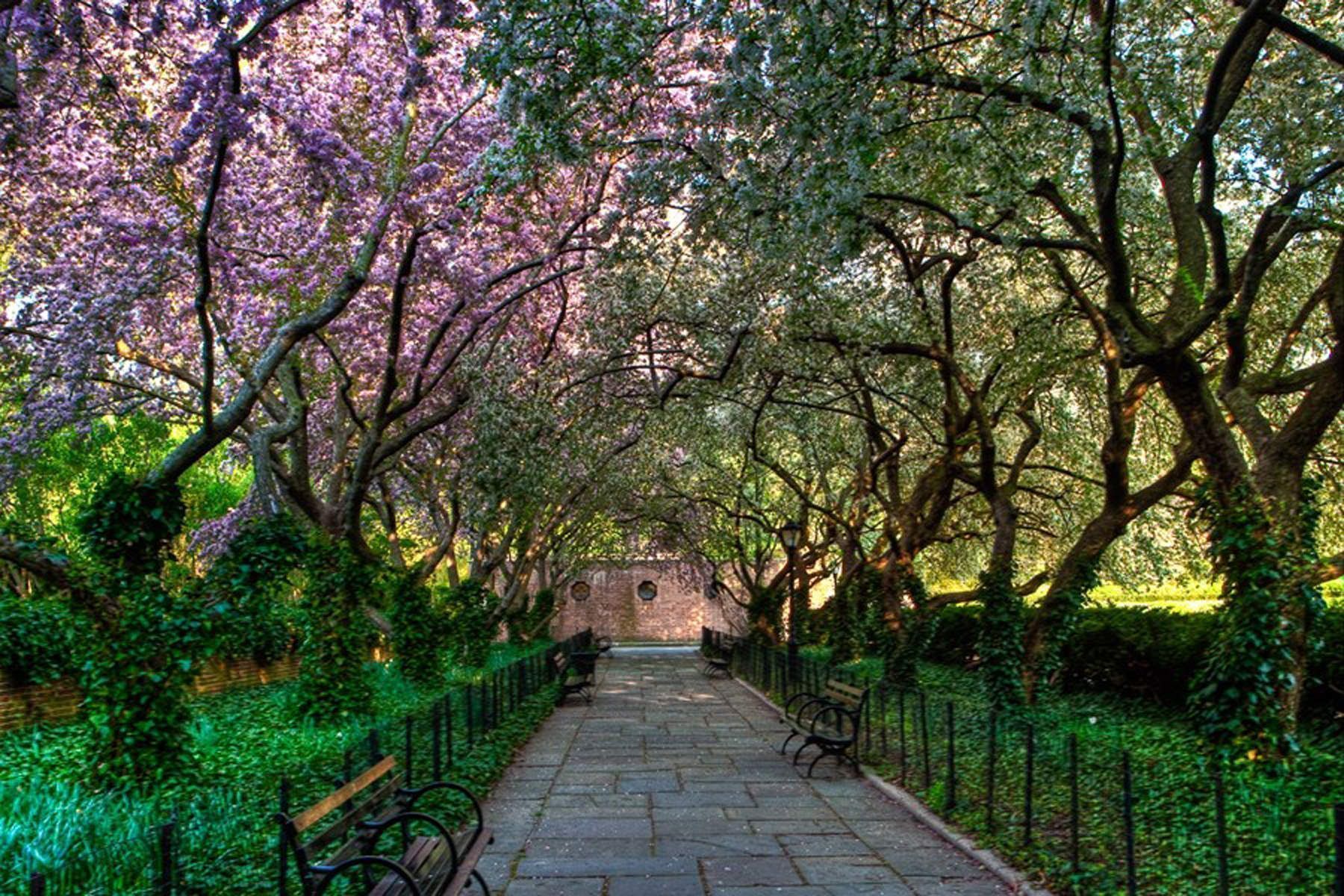  146 West 57th Street  58F - 物件實景