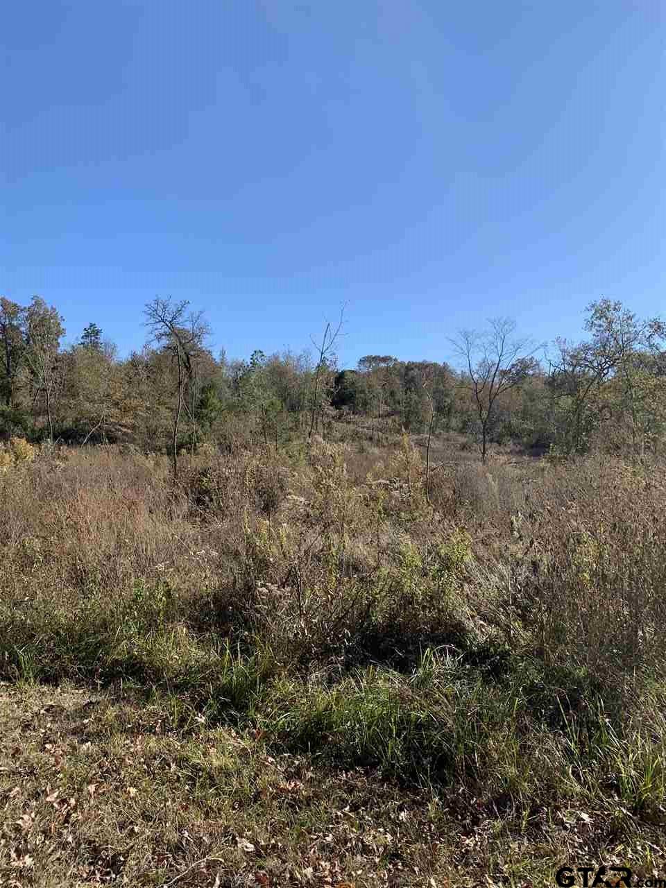TBD CR 463 & I20, Lindale, Texas, 75771, United States, ,Land,For Sale,TBD CR 463 & I20,1673593