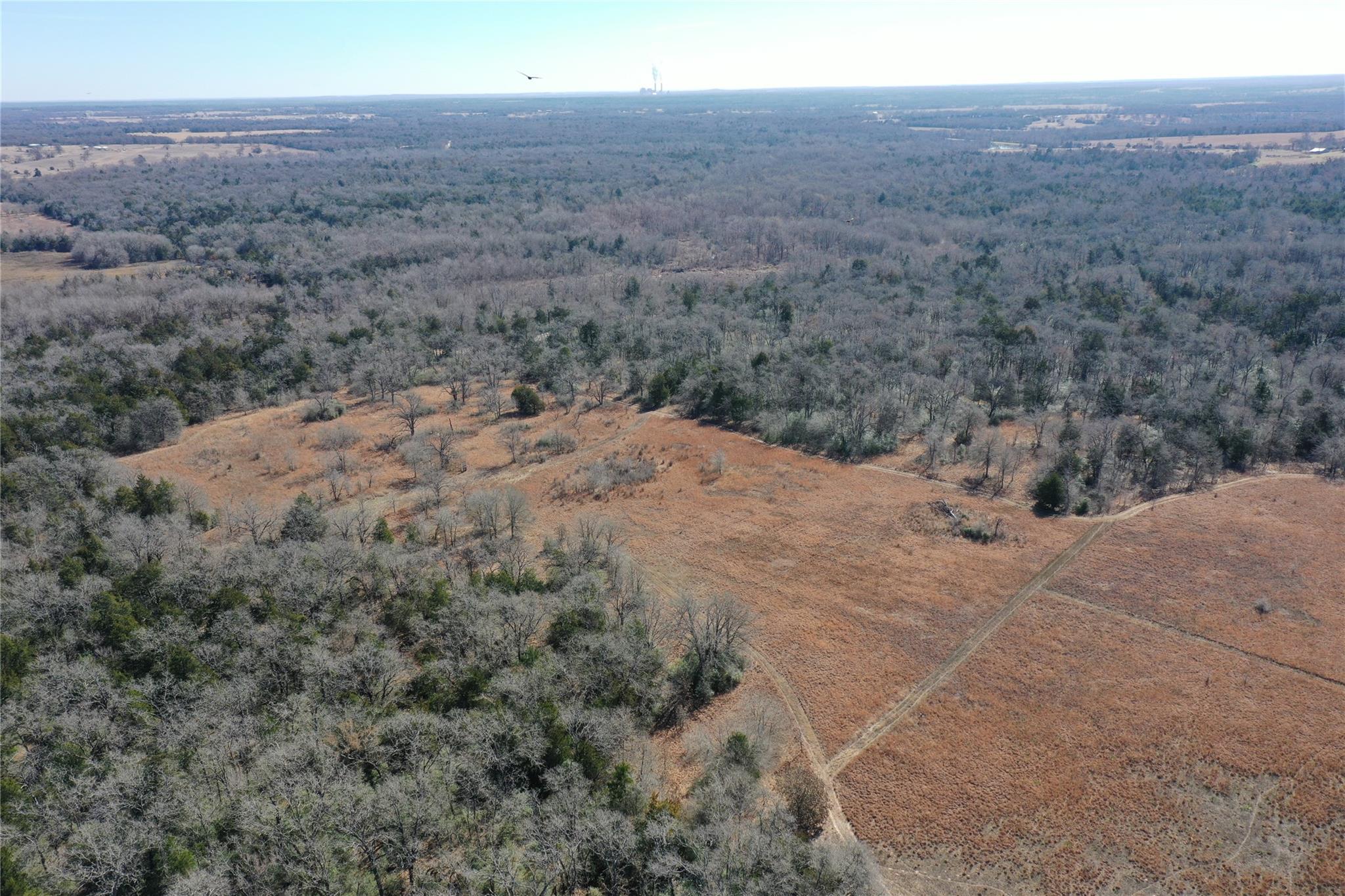 1151 Fowler Road, Bremond, Texas, 76629, United States, ,Land,For Sale,1151 Fowler Road,1621605