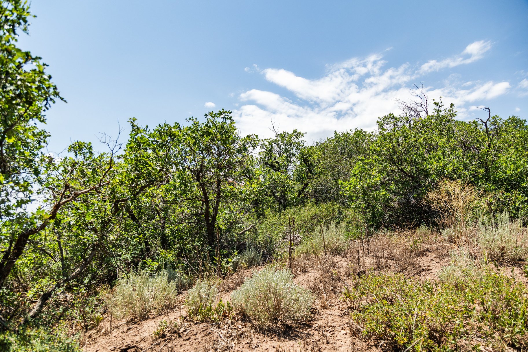  Dream Homesite in Gated Golden Eagle With Jordanelle and Mountain Views. - 物件實景