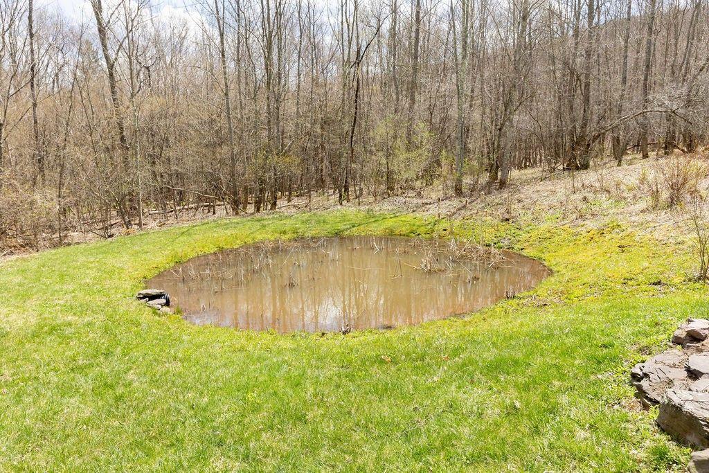 Roxbury, New York, 12474, United States, 3 Bedrooms Bedrooms, ,2 BathroomsBathrooms,Residential,For Sale,1793285