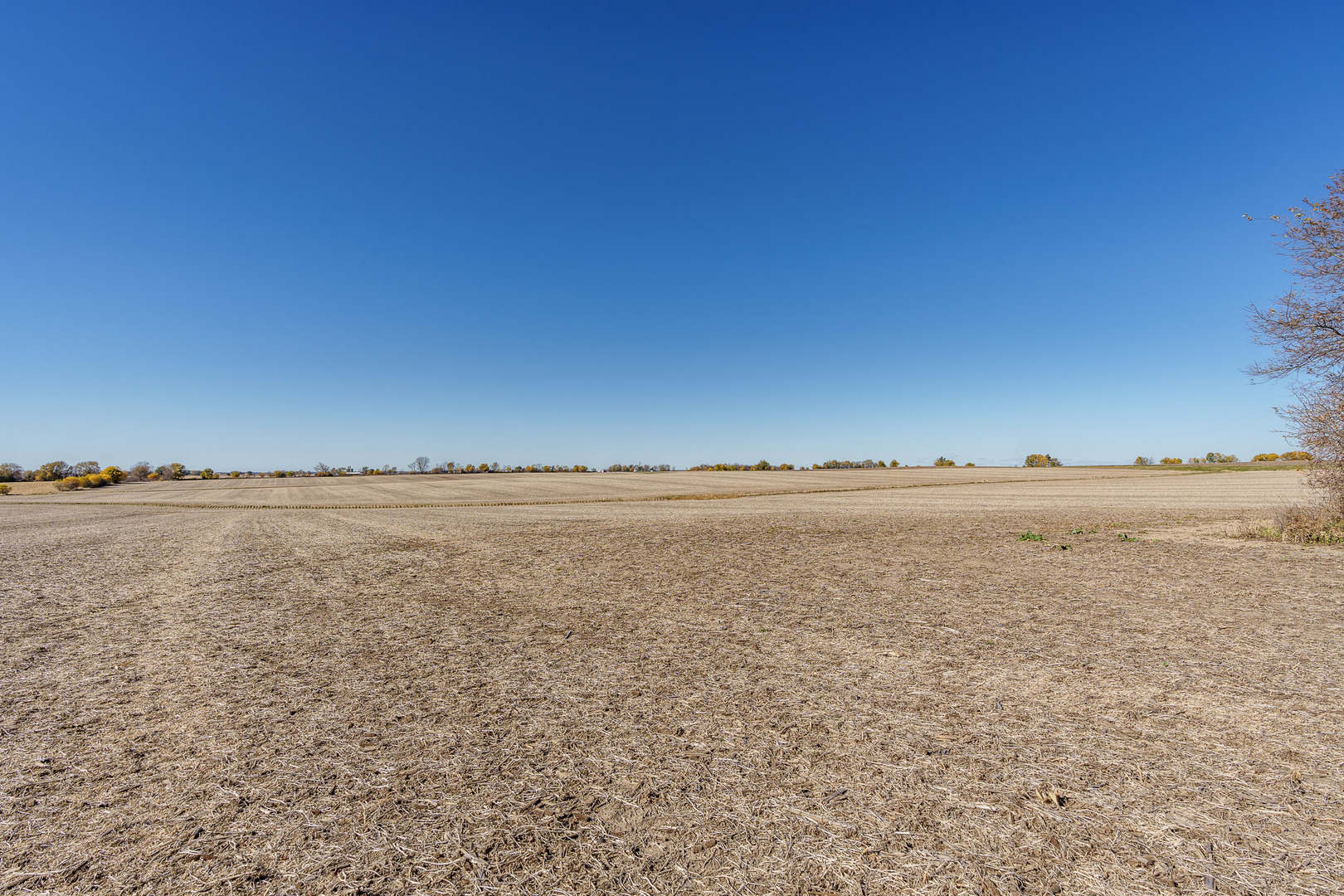 Belvidere, Illinois, 61008, United States, ,Residential,For Sale,1815482