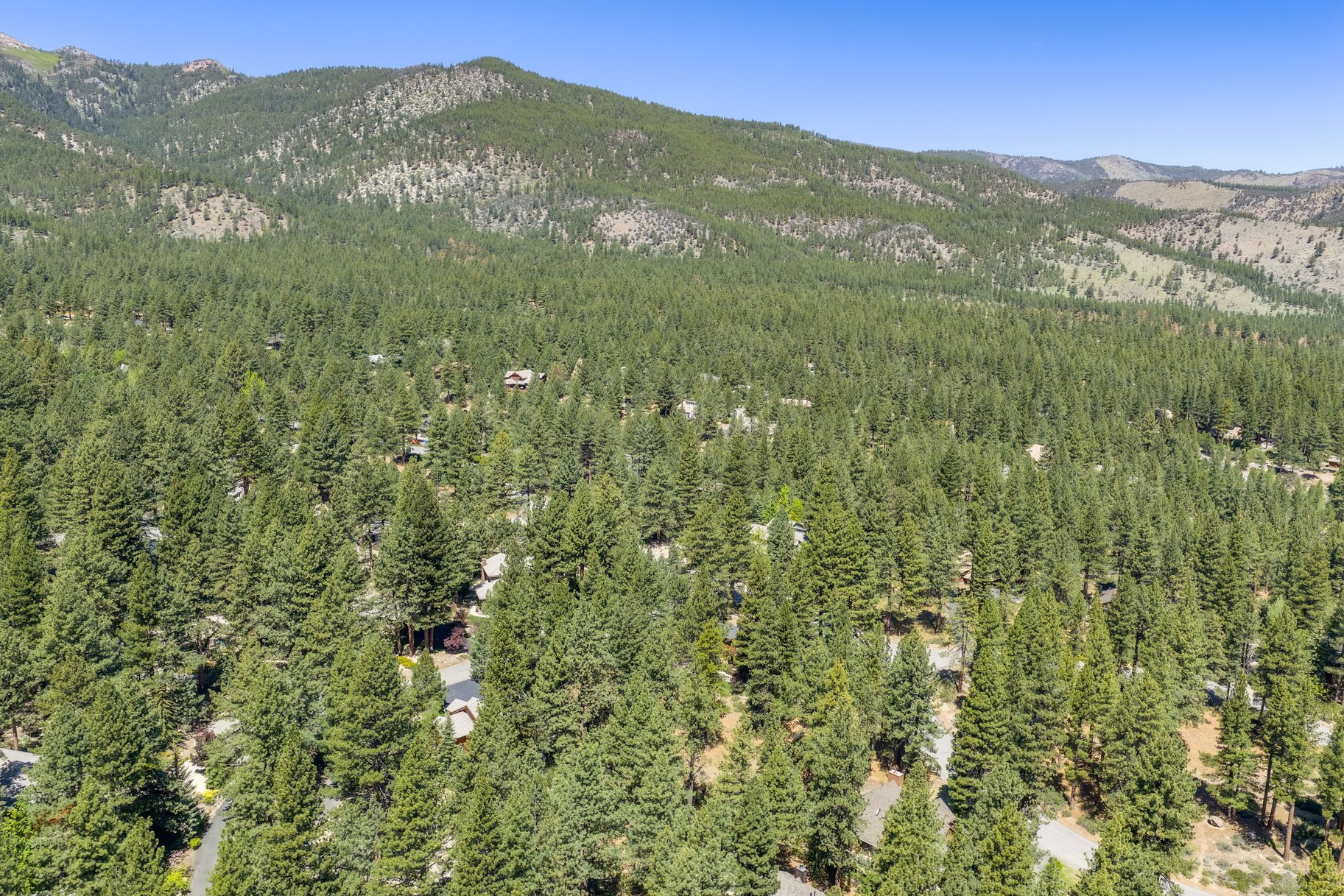 Private Galena Forest Parcel Near Mt. Rose with Pines & Tahoe Access - 物件實景