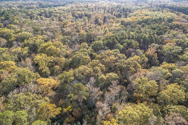 Winona, Texas, 75792, United States, 4 Bedrooms Bedrooms, ,3 BathroomsBathrooms,Residential,For Sale,1996404