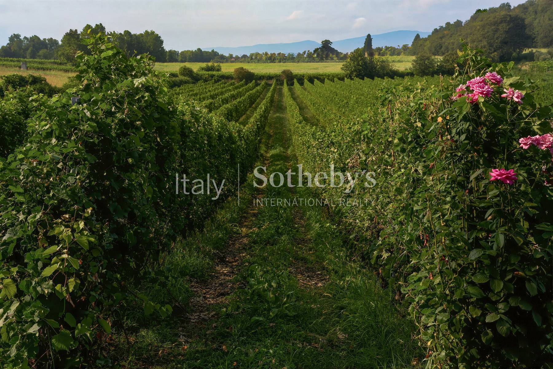  Historic Estate with Park and Vineyard between Verona and Lake Garda - 物件實景