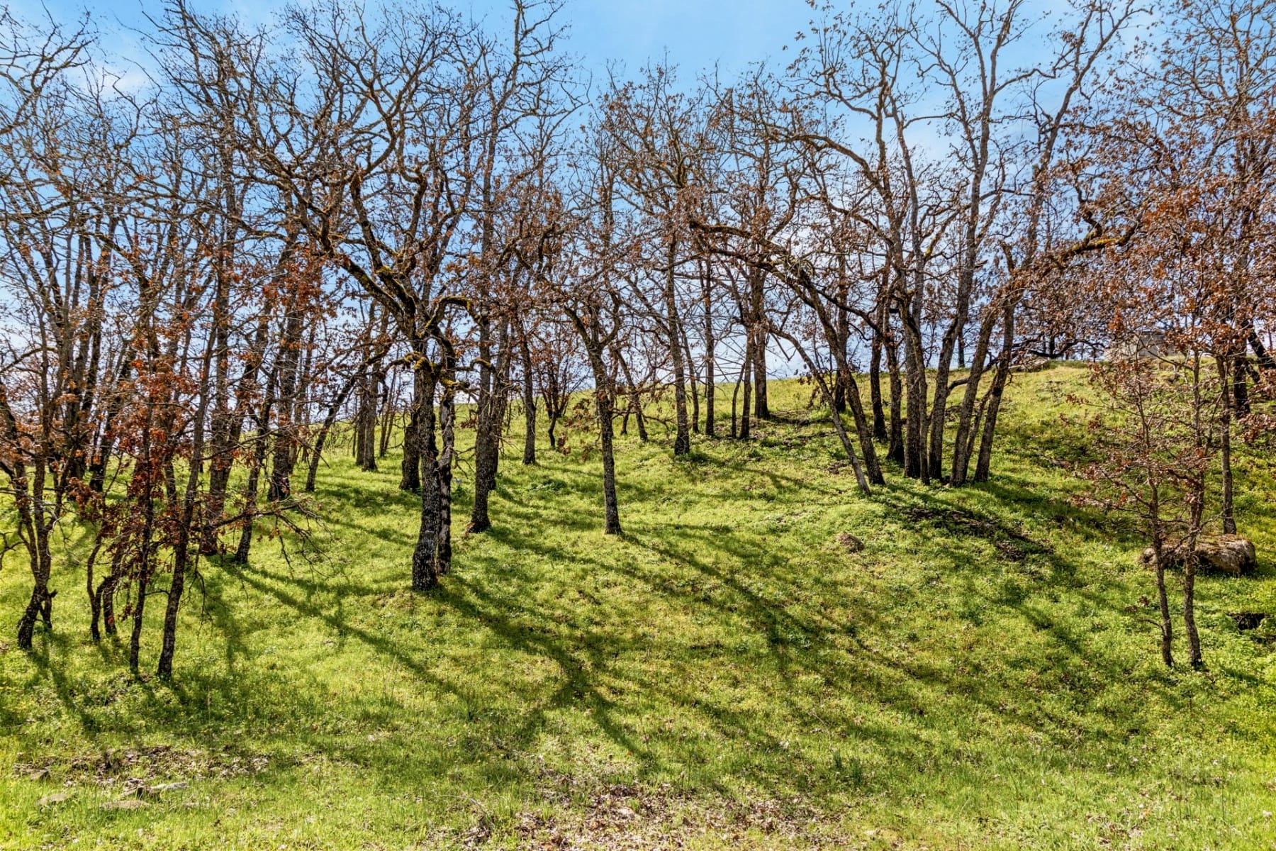  10 CANYON RD Lyle, WA 98635 - 物件實景