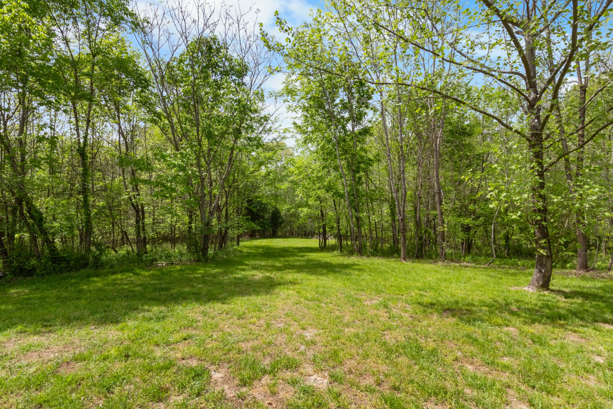 Indian Mound, Tennessee, 37079, United States, 6 Bedrooms Bedrooms, ,6 BathroomsBathrooms,Residential,For Sale,1842968
