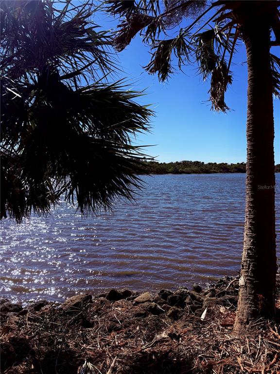 Ormond Beach, Florida, 32176, United States, ,Land,For Sale,1743794