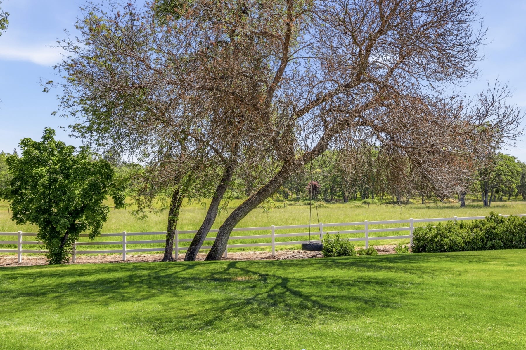  163 Hidden Valley Drive Eagle Point, OR 97524 - 物件實景