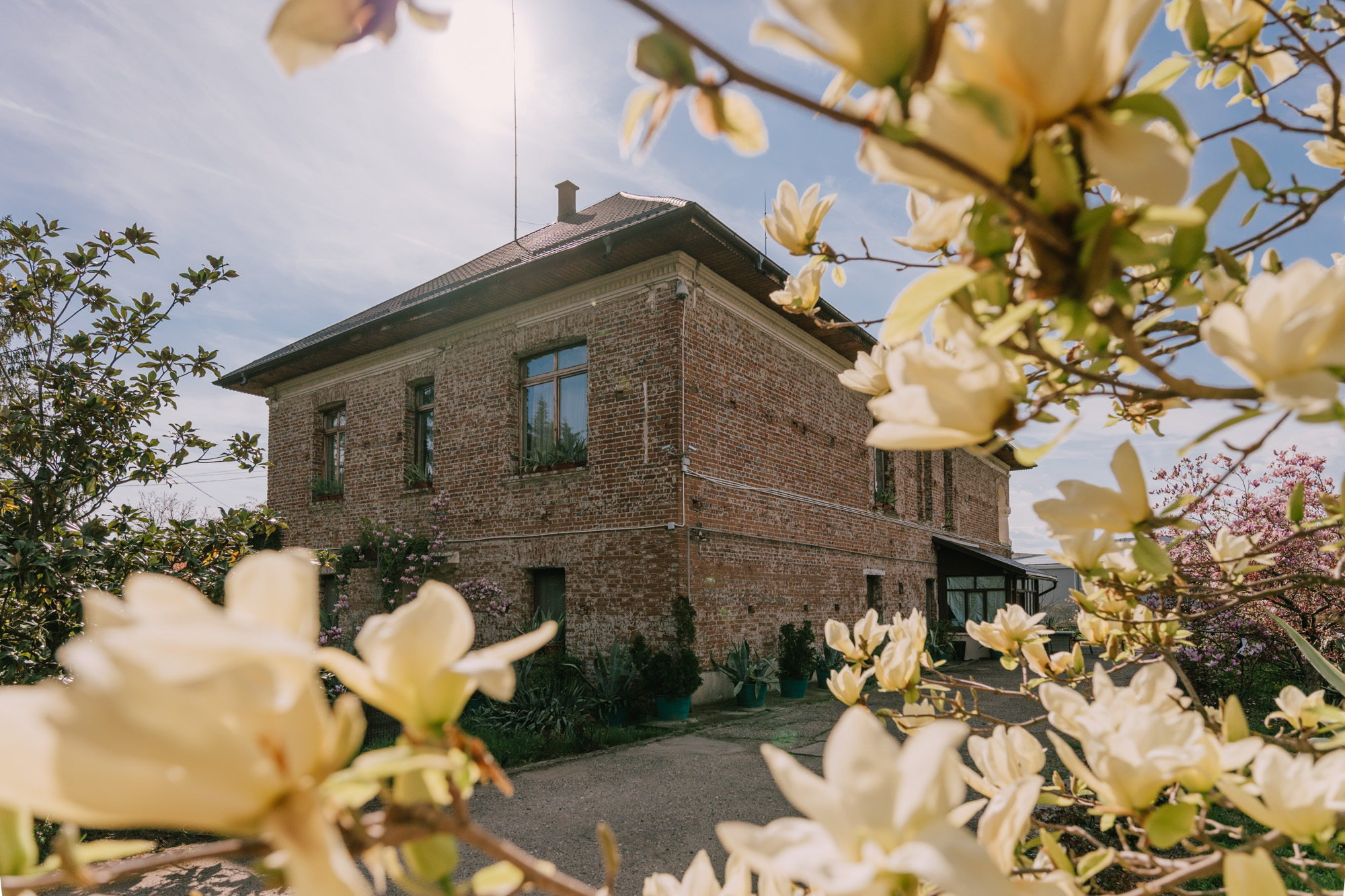  Aristocratic Retreat in the Heart of the Arge Hills - 物件實景