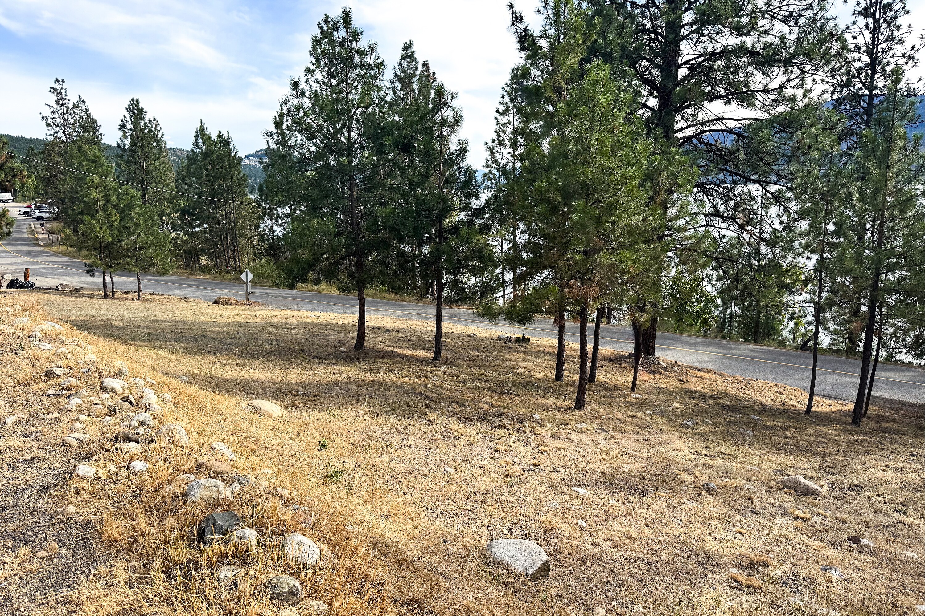  Okanagan Lake View & Access - 物件實景
