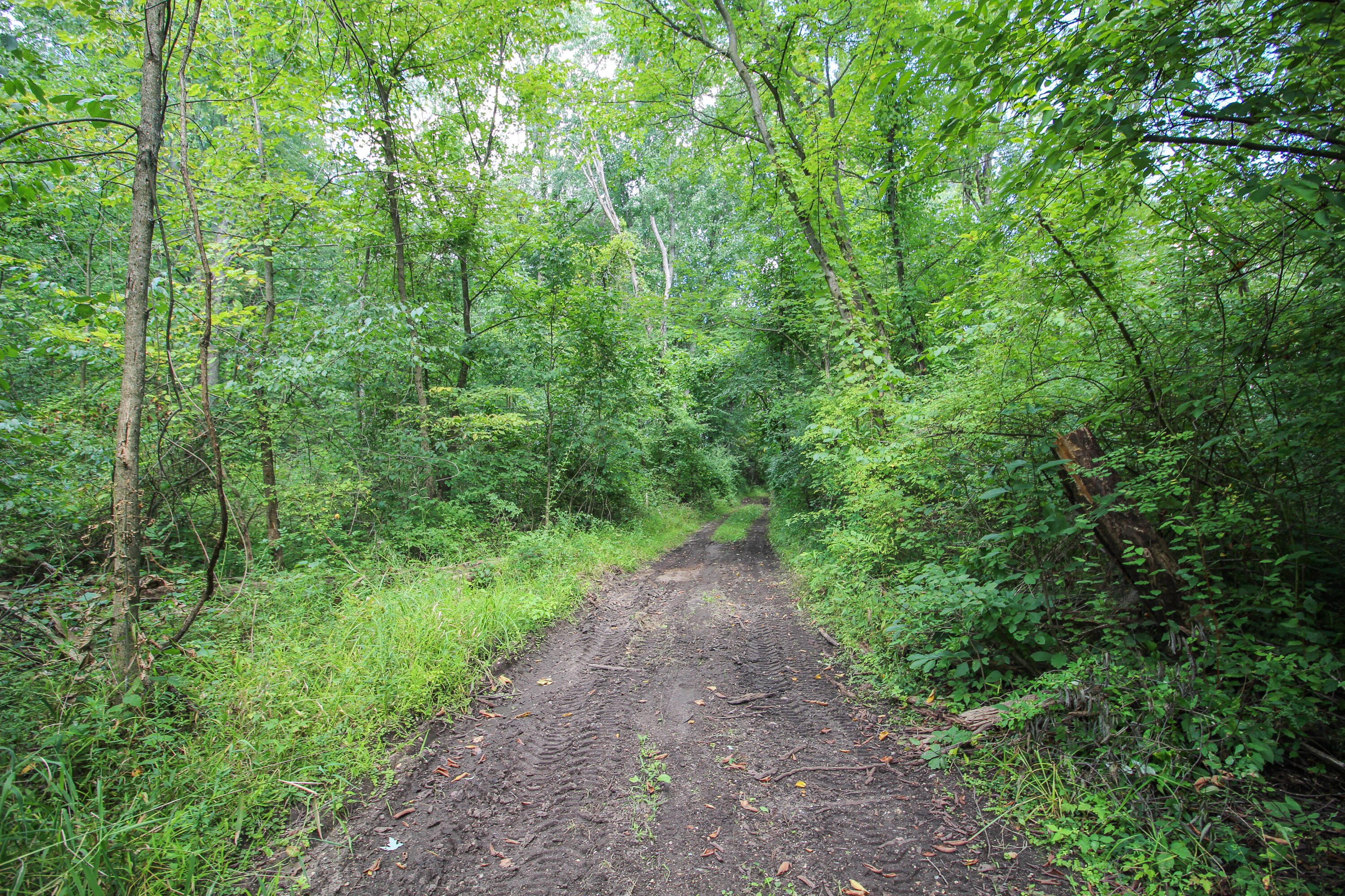 Three Rivers, Michigan, 49093, United States, 4 Bedrooms Bedrooms, ,1 BathroomBathrooms,Residential,For Sale,2006073