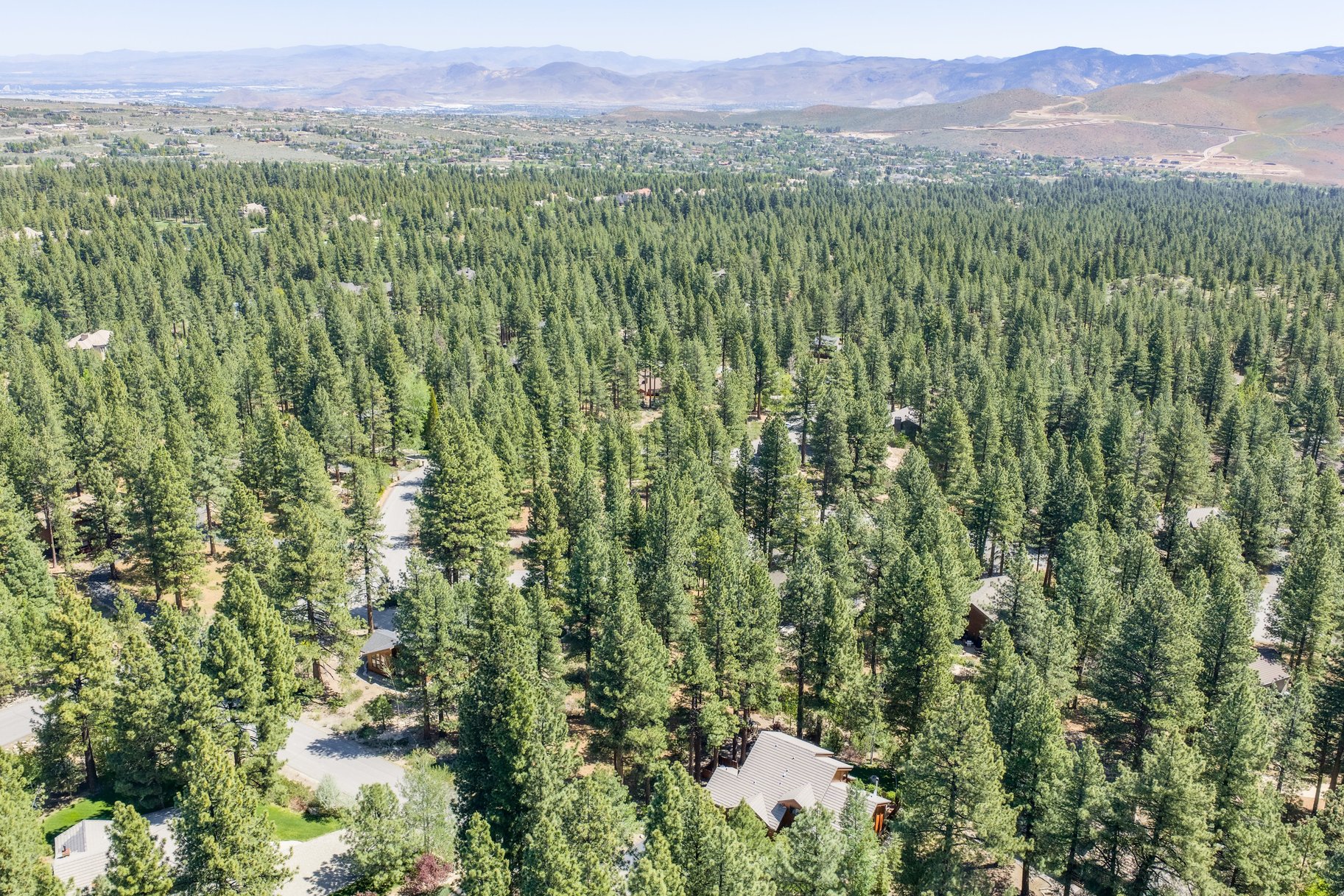  Private Galena Forest Parcel Near Mt. Rose with Pines & Tahoe Access - 物件實景