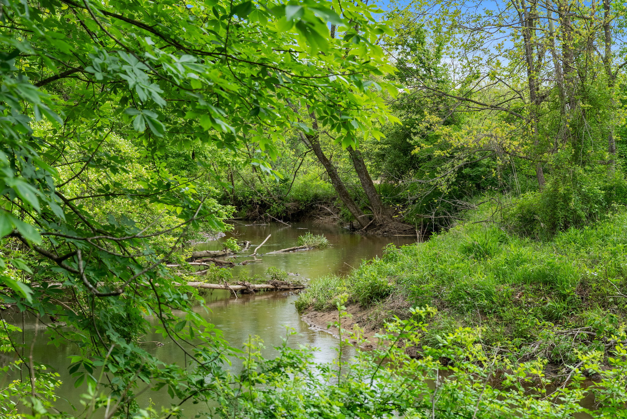 Rosedale, Indiana, 47874, United States, ,Land,For Sale,2049036